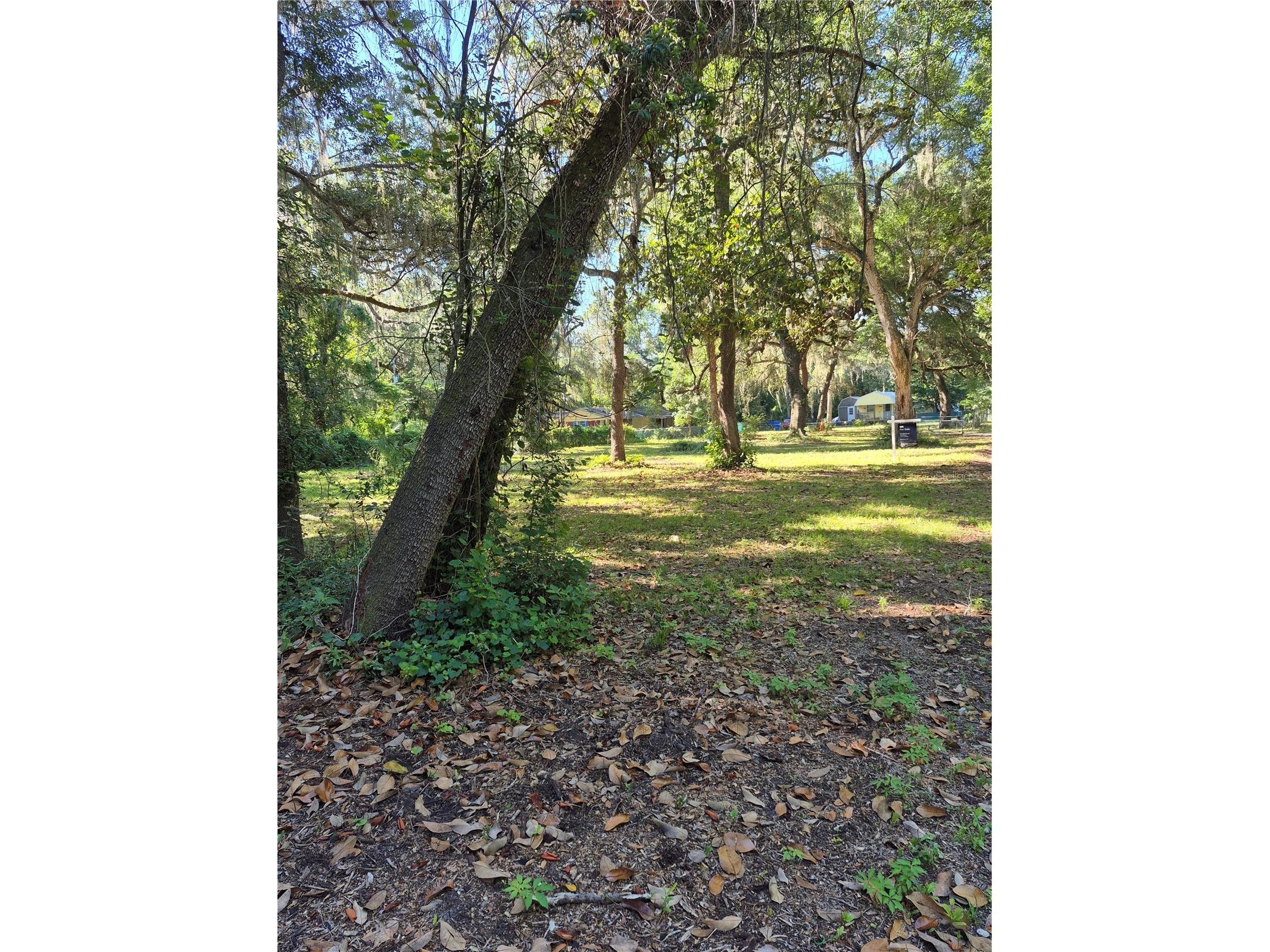 16615 NE 45th Court Citra FL 32113 GC540348 image6