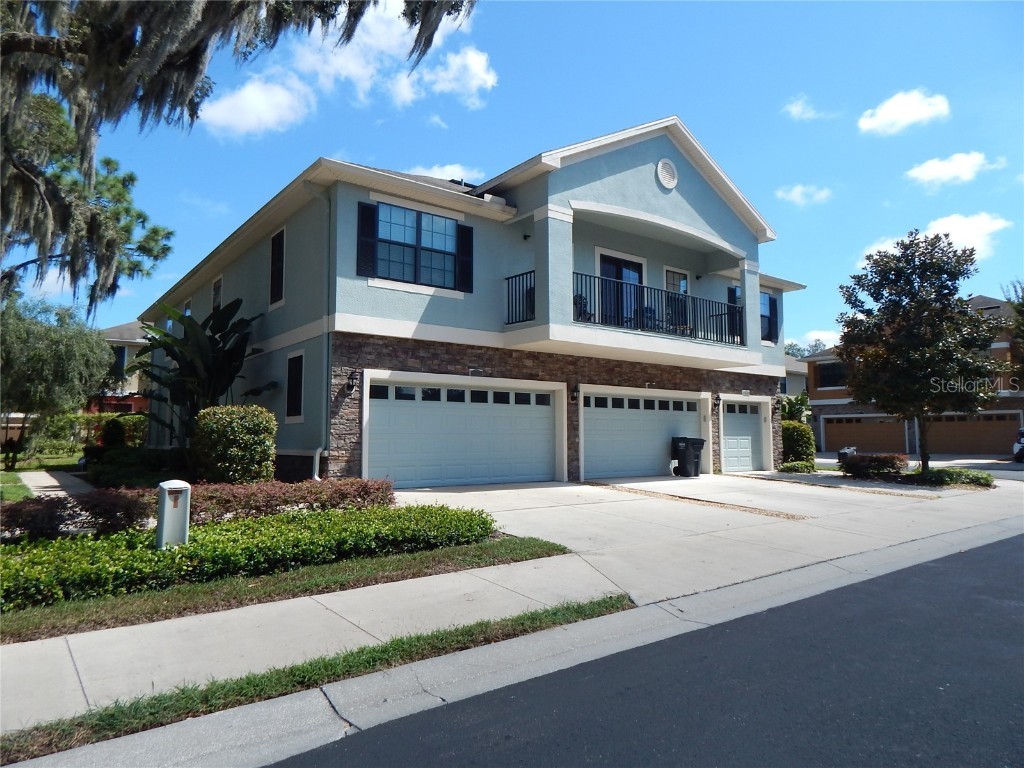 16616 Kingletside Court Lithia FL 33547 T3438916 image1