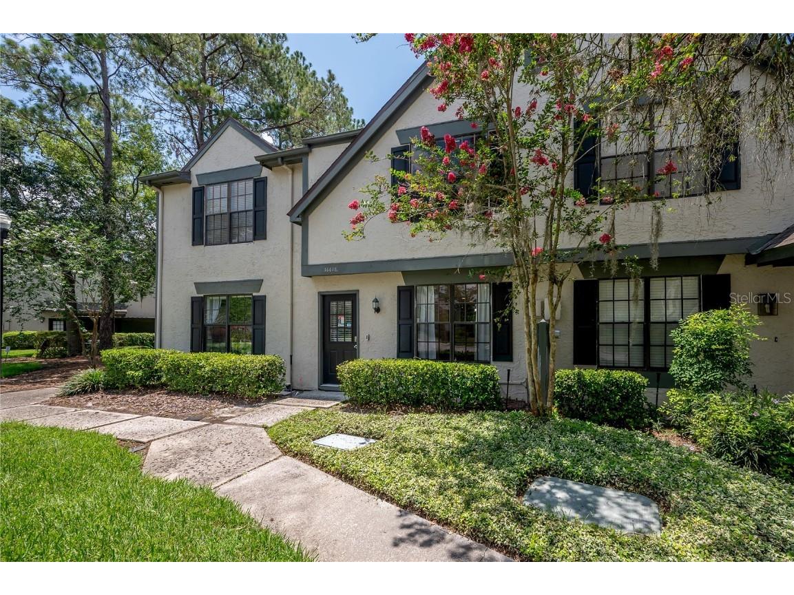 16618 Brigadoon Drive Tampa FL 33618 - LAKE HEATHER T3453856 image1