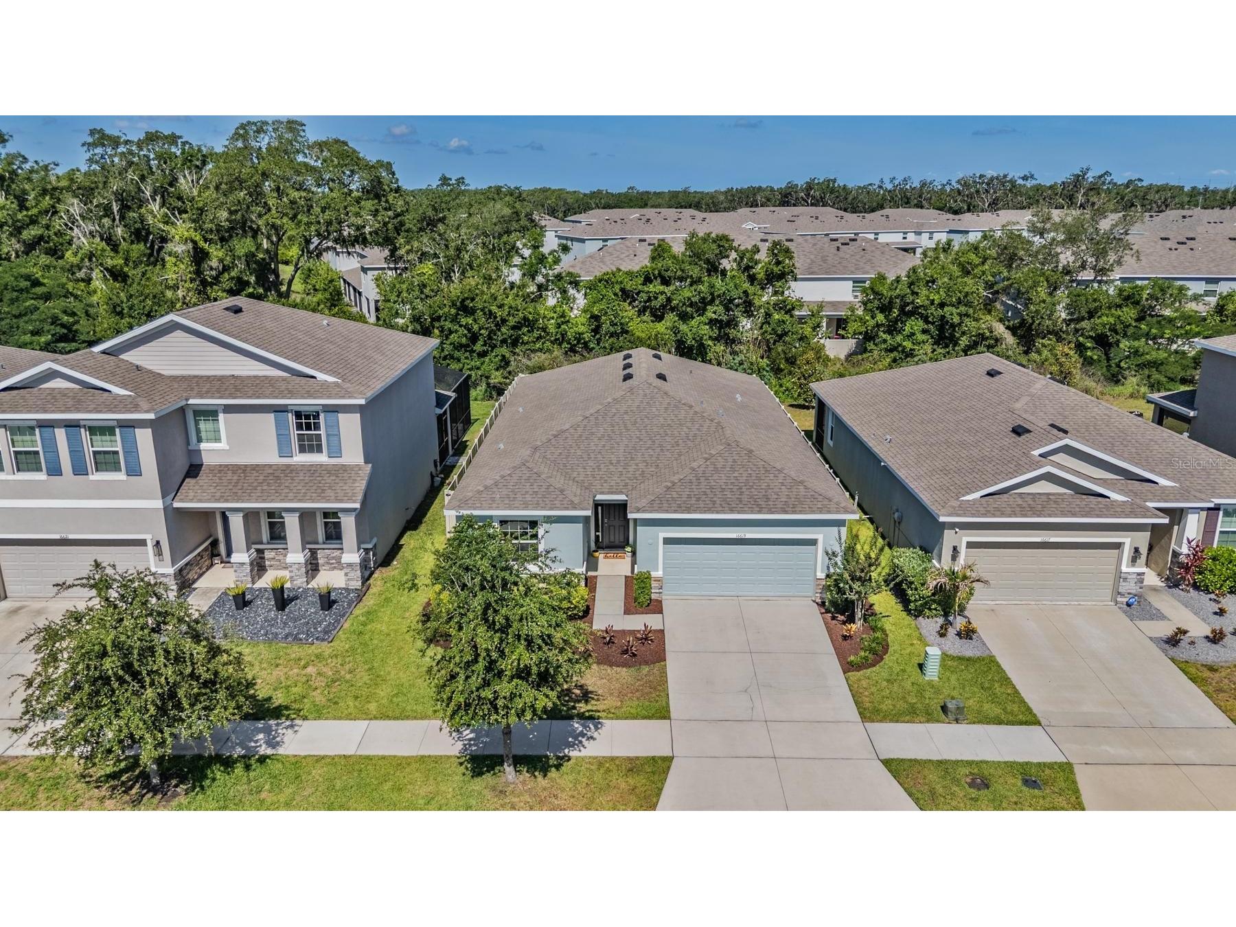 16619 Goose Ribbon Place Wimauma FL 33598 TB8511525 image31
