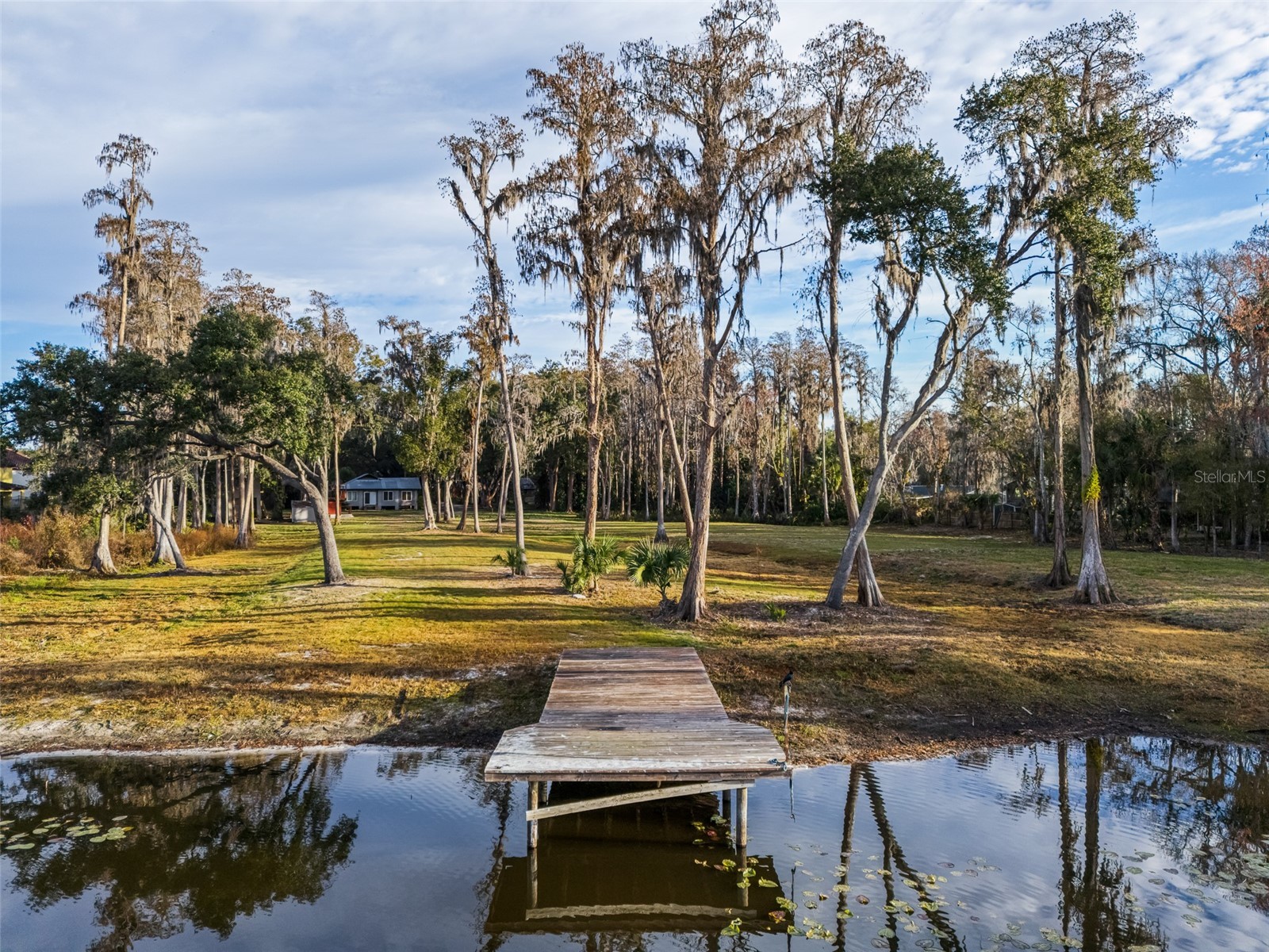 16619 Indian Mound Road Tampa FL 33618 - BYRD LAKE TB8406967 image20