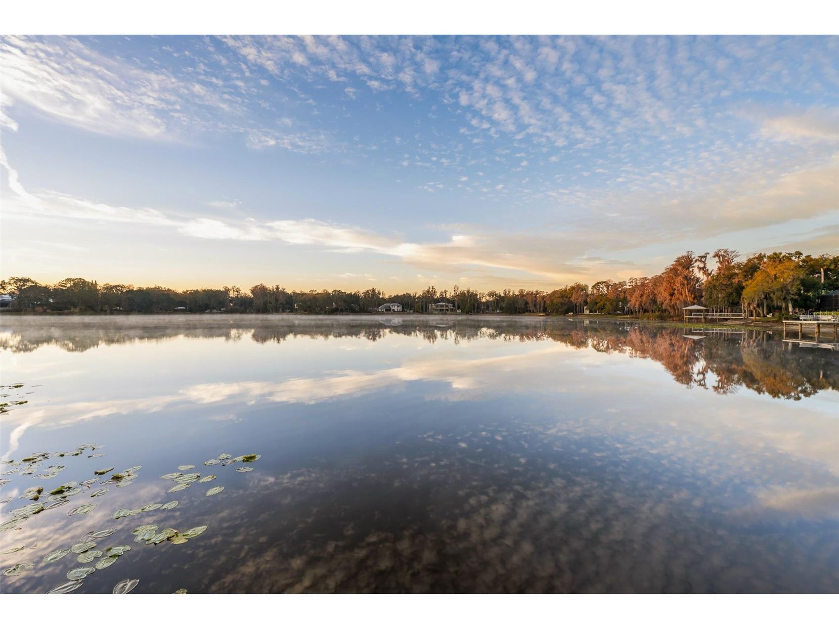 16619 Indian Mound Road Tampa FL 33618 - BYRD LAKE TB8406967 image24