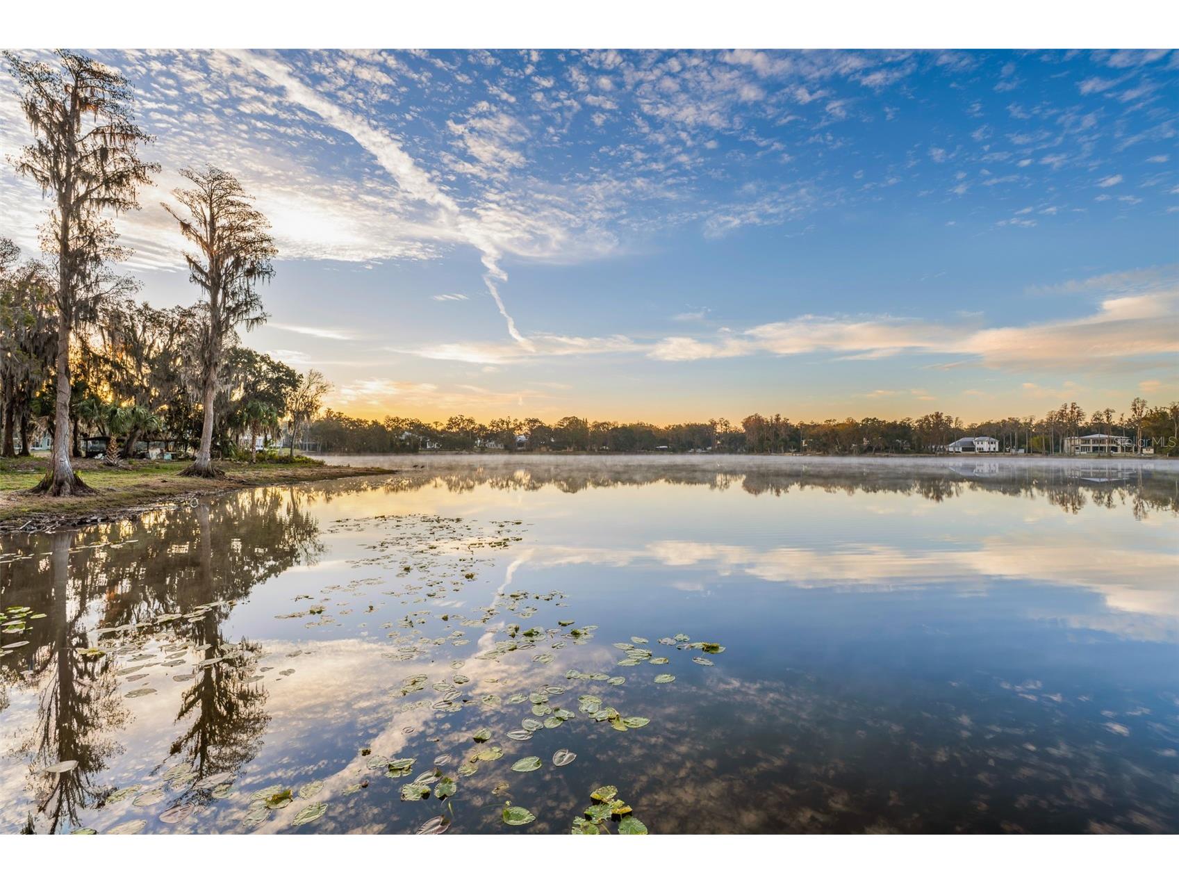 16619 Indian Mound Road Tampa FL 33618 - BYRD LAKE TB8406967 image25