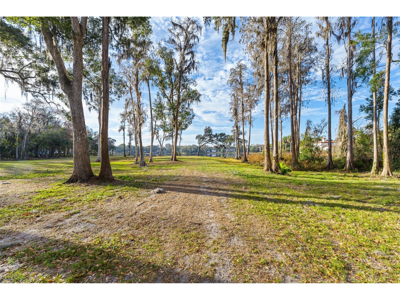 16619 Indian Mound Road Tampa FL 33618 - BYRD LAKE TB8406967 image31