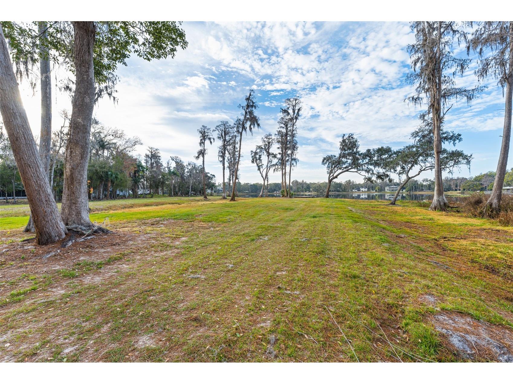 16619 Indian Mound Road Tampa FL 33618 - BYRD LAKE TB8406967 image32