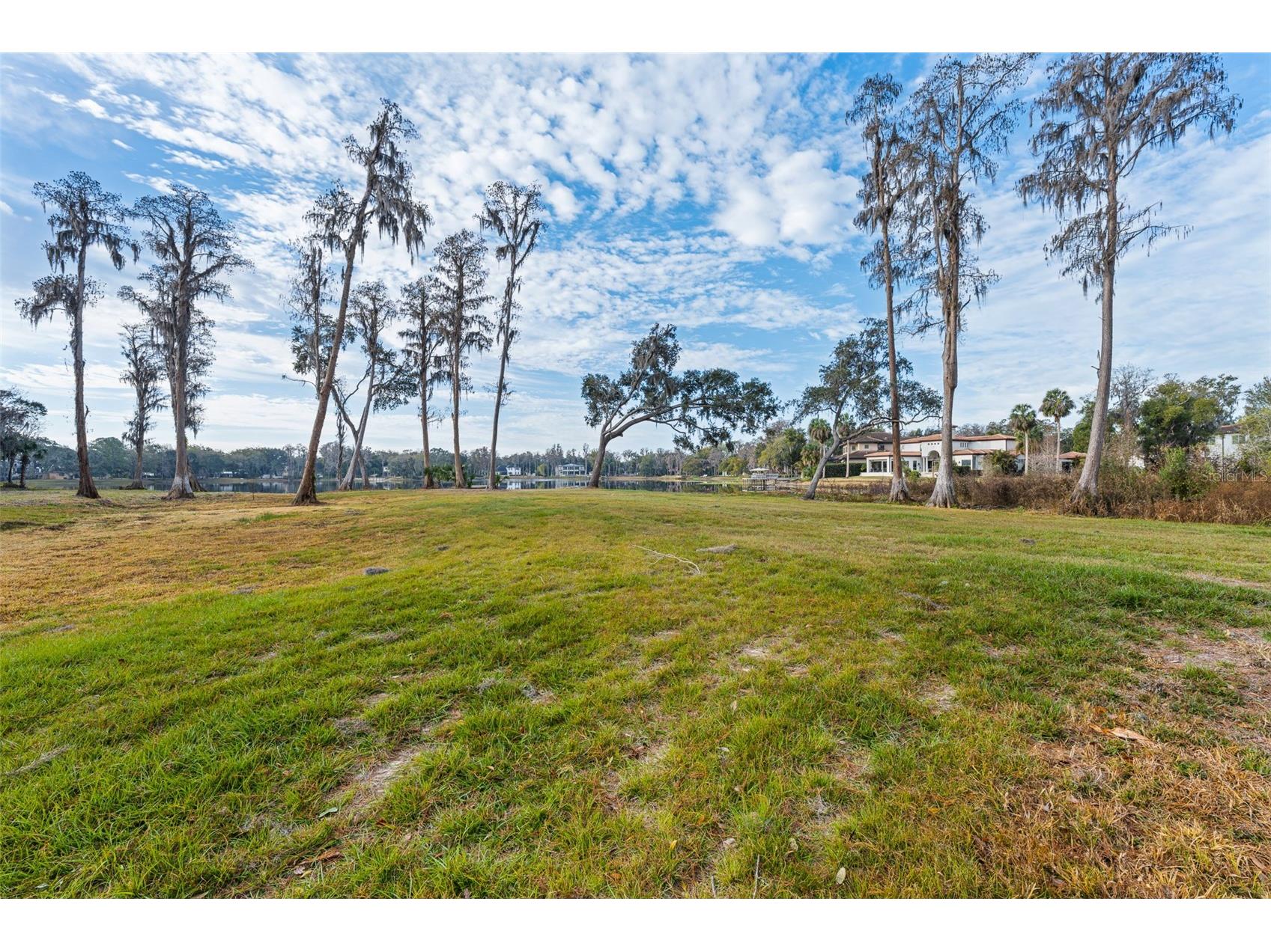 16619 Indian Mound Road Tampa FL 33618 - BYRD LAKE TB8406967 image33