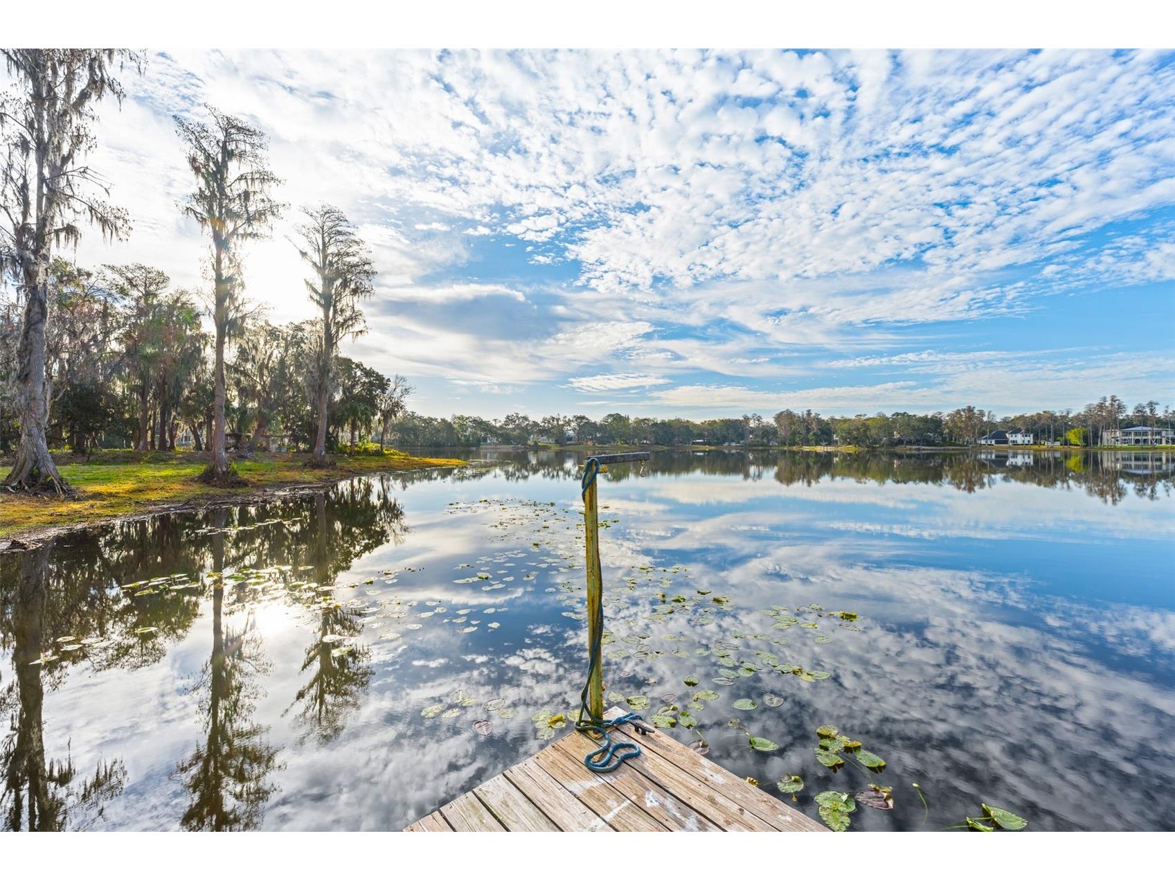 16619 Indian Mound Road Tampa FL 33618 - BYRD LAKE TB8406967 image38