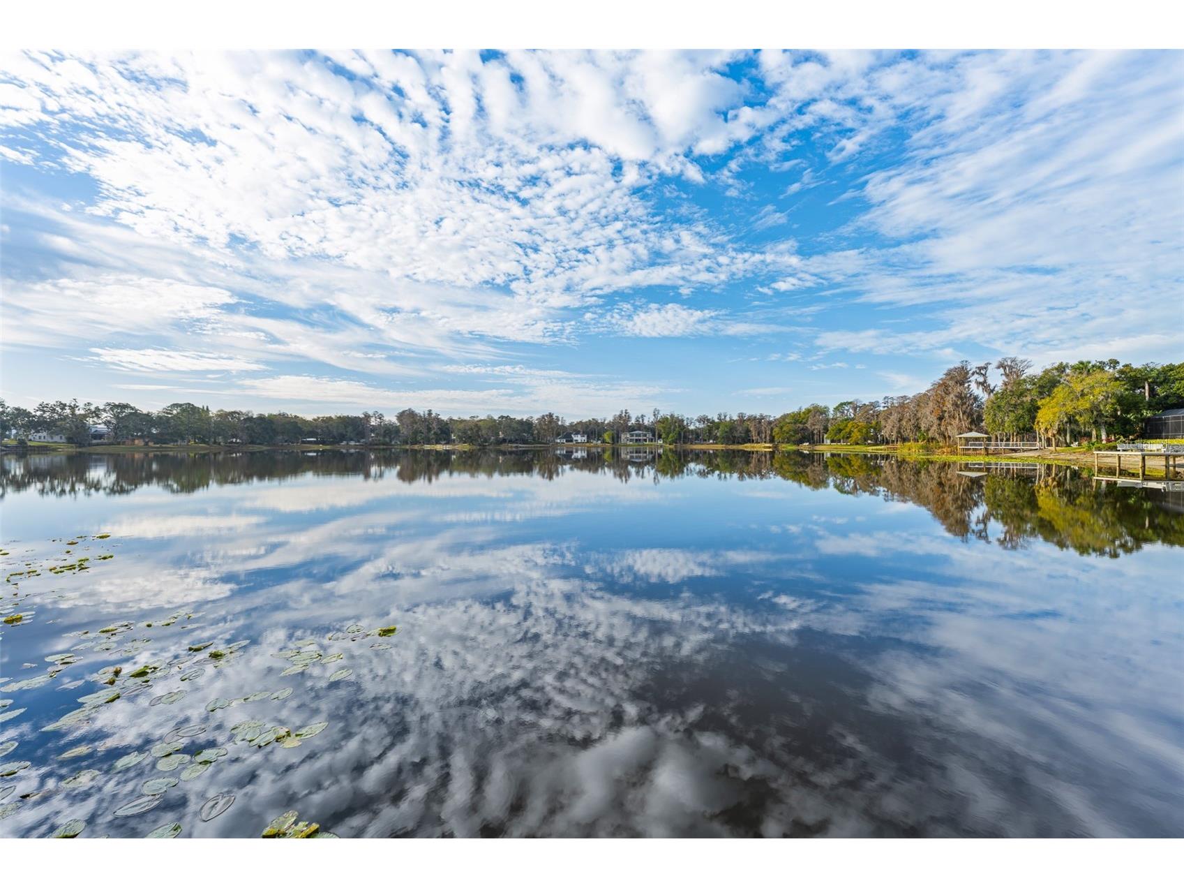 16619 Indian Mound Road Tampa FL 33618 - BYRD LAKE TB8406967 image39