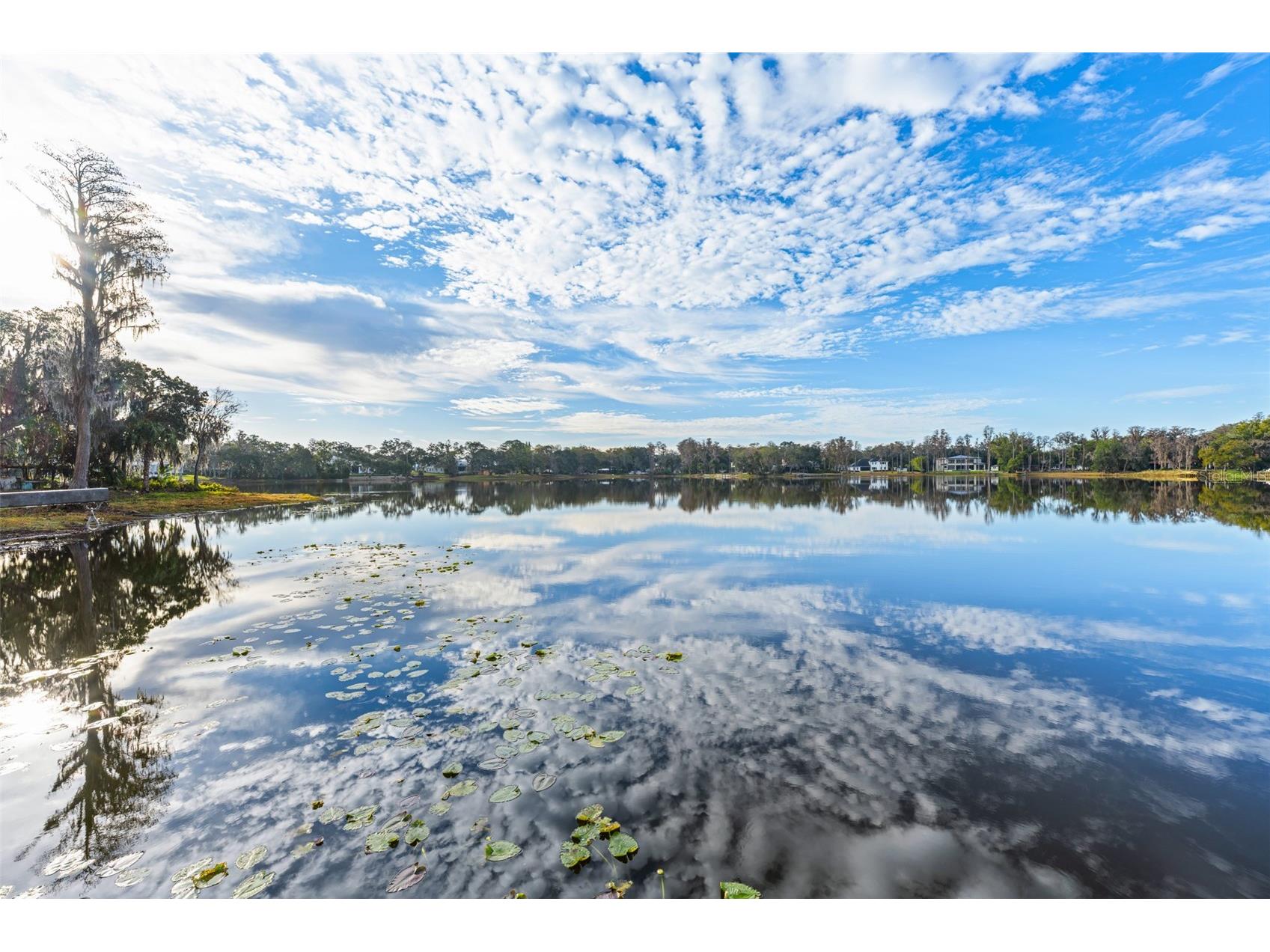 16619 Indian Mound Road Tampa FL 33618 - BYRD LAKE TB8406967 image40