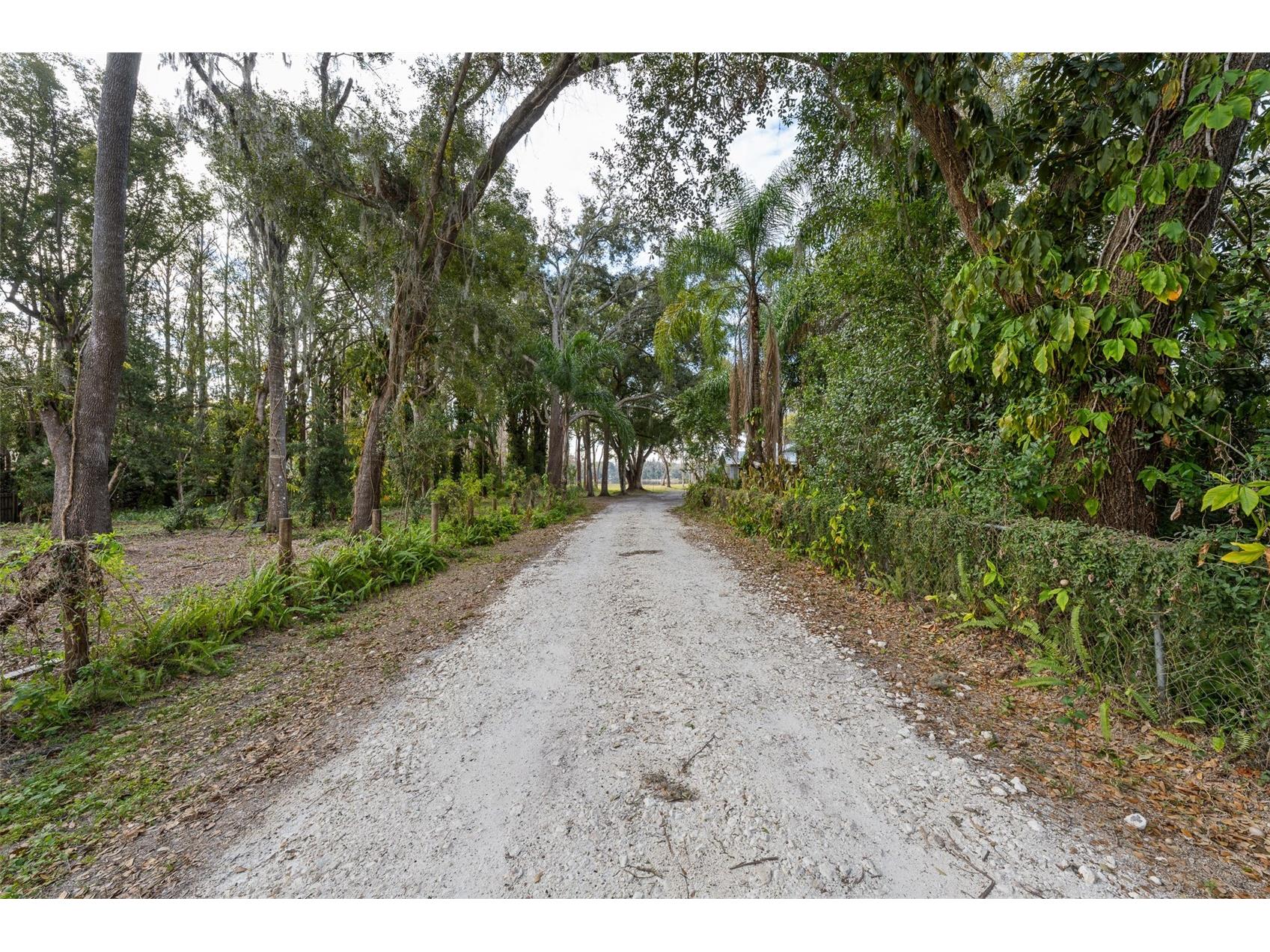 16619 Indian Mound Road Tampa FL 33618 - BYRD LAKE TB8406967 image42