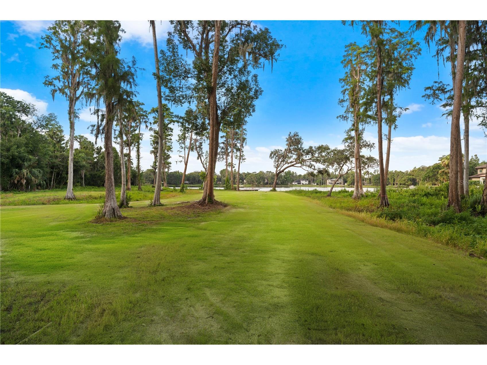 16619 Indian Mound Road Tampa FL 33618 - BYRD LAKE TB8406967 image44