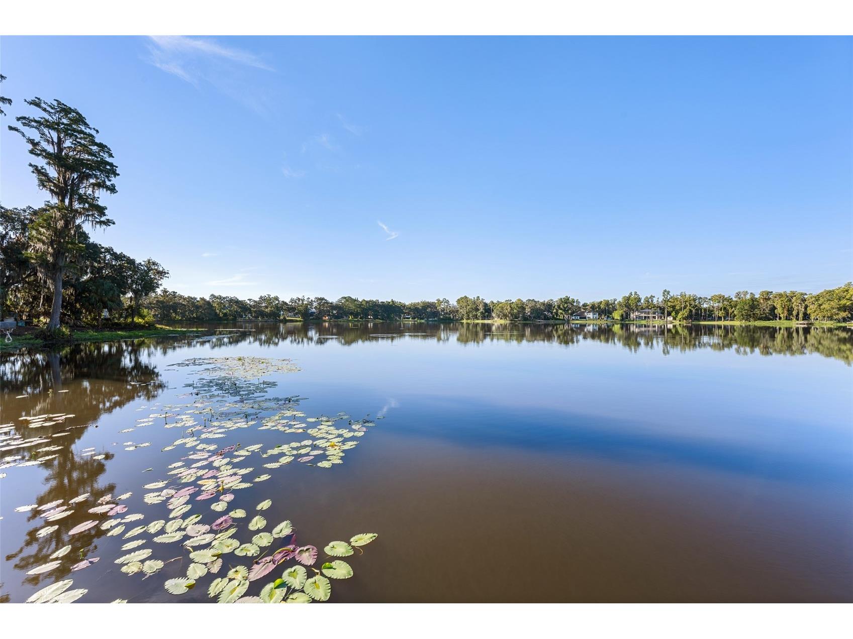 16619 Indian Mound Road Tampa FL 33618 - BYRD LAKE TB8406967 image47