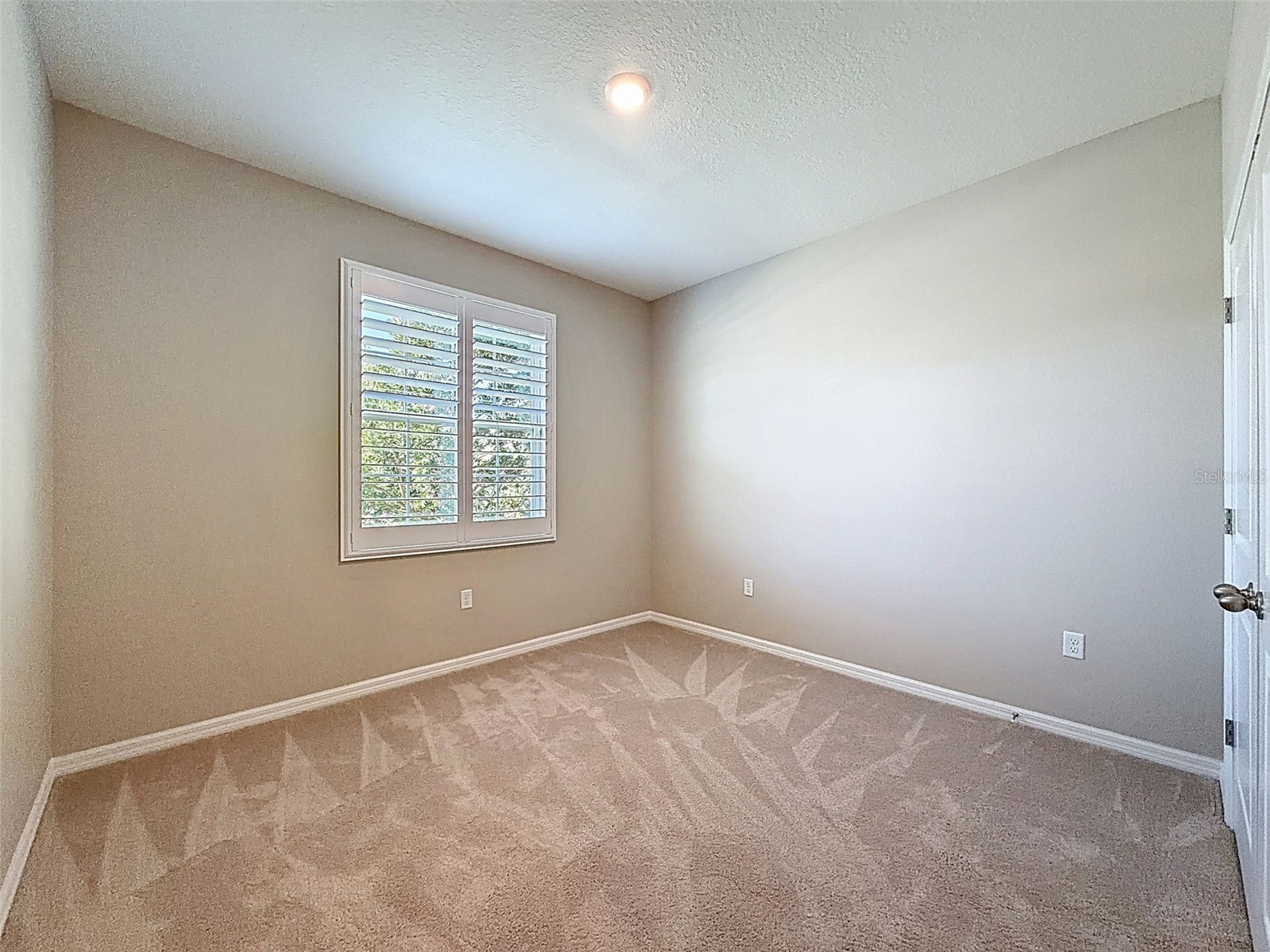 16619 Mooner Plank Circle Wimauma FL 33598 TB8471398 image43