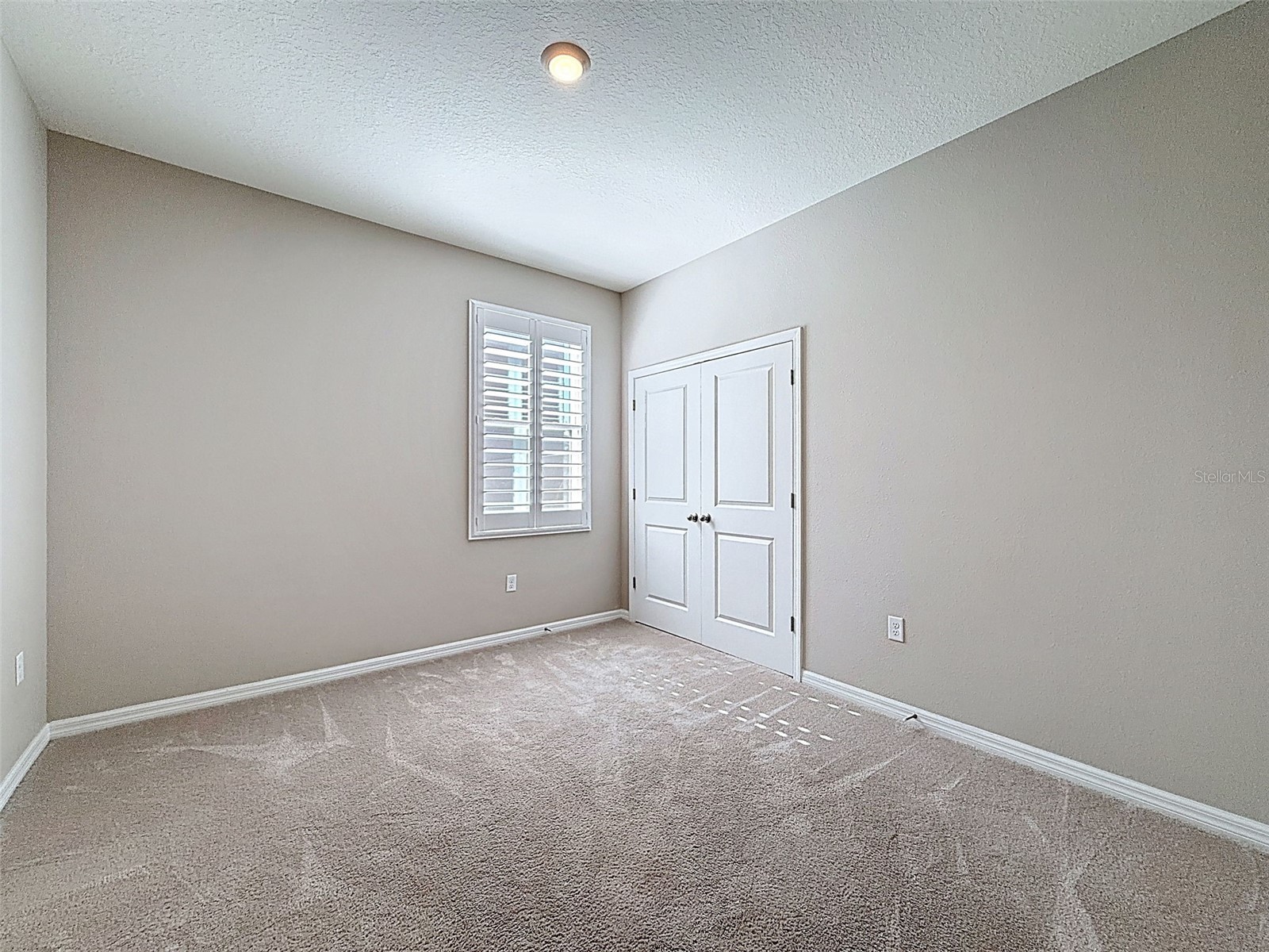 16619 Mooner Plank Circle Wimauma FL 33598 TB8471398 image54