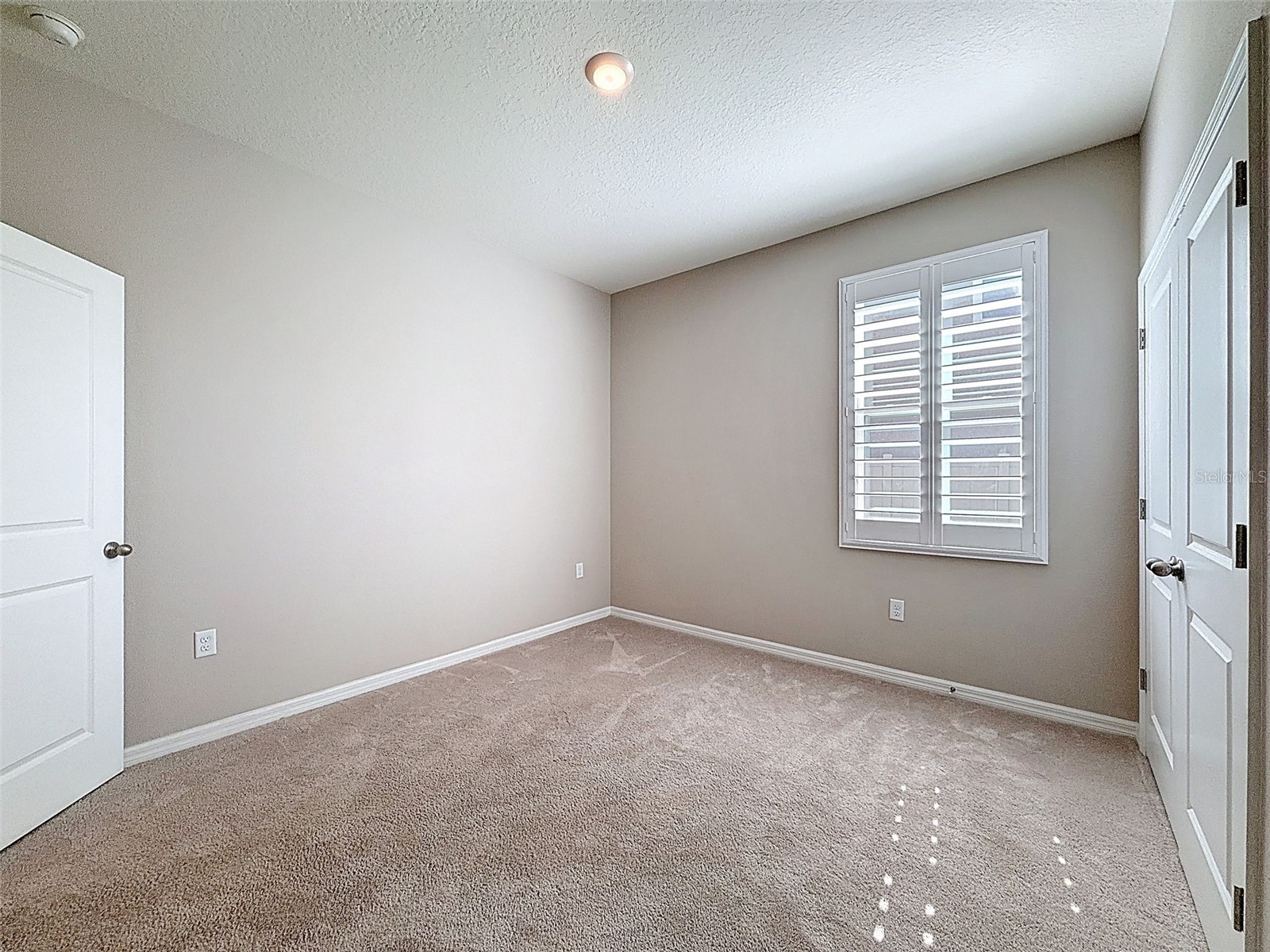 16619 Mooner Plank Circle Wimauma FL 33598 TB8471398 image56