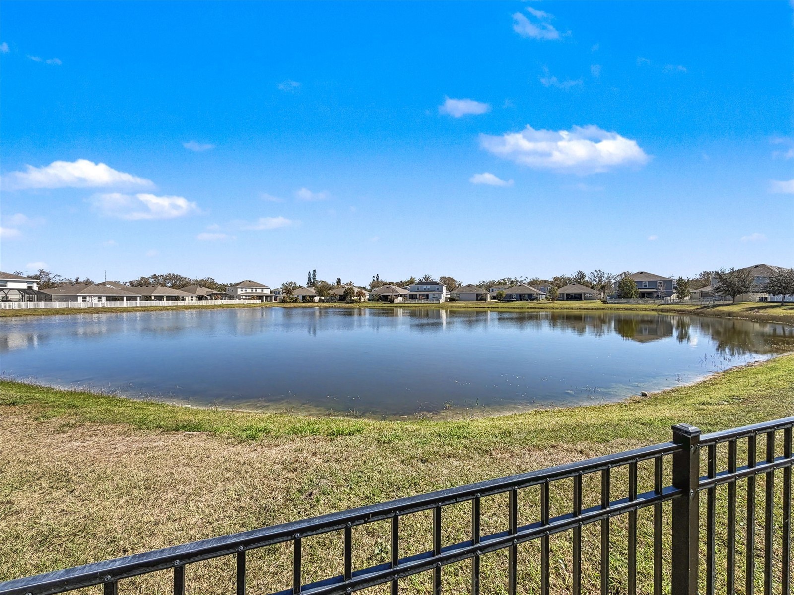 16619 Mooner Plank Circle Wimauma FL 33598 TB8471398 image69