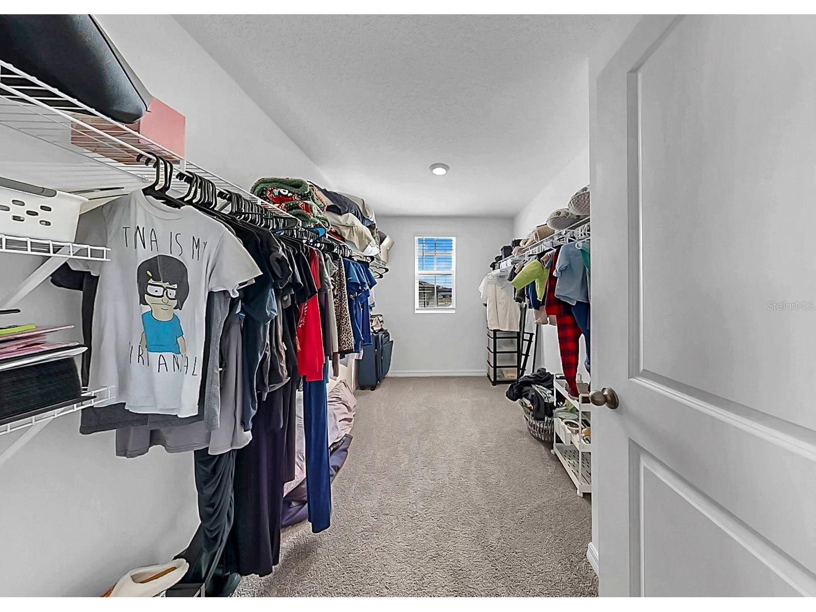 16619 Mosaic Oar Drive Wimauma FL 33598 TB8468304 image23