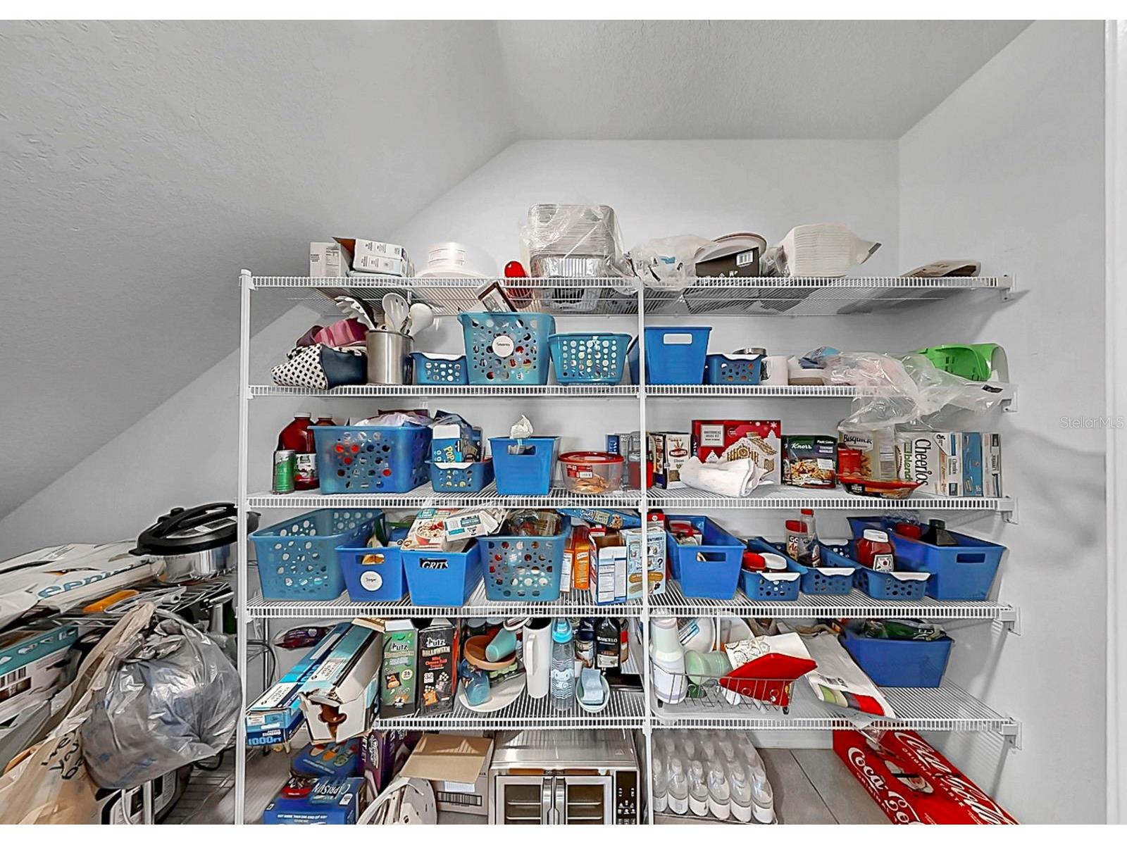 16619 Mosaic Oar Drive Wimauma FL 33598 TB8468304 image34