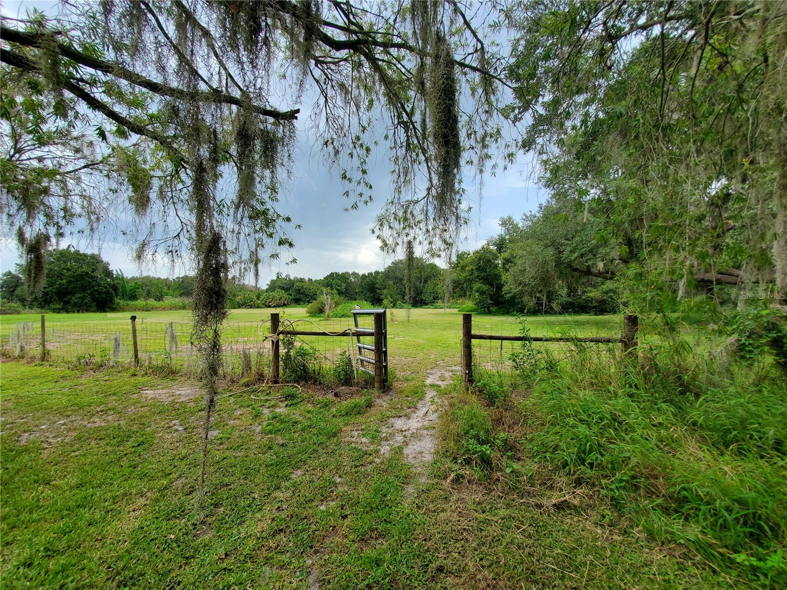 1662 Harvill Road Wauchula FL 33873 O6427878 image6