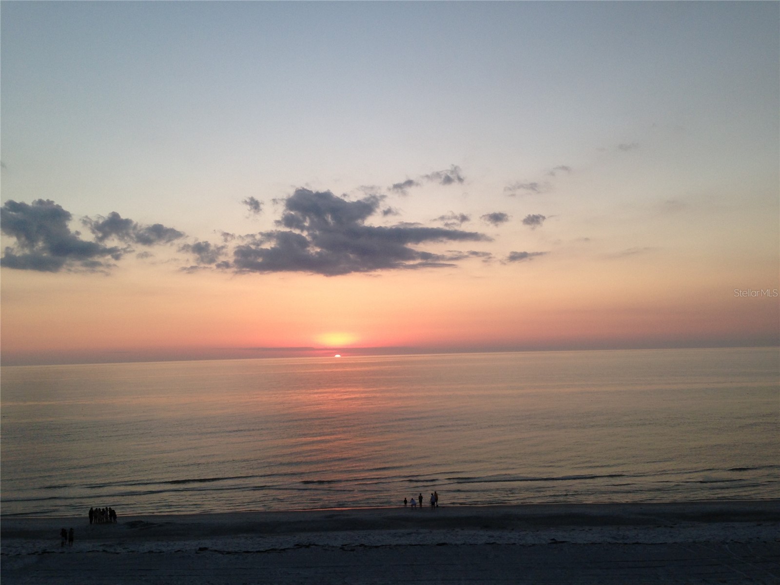 1662 S Lake Avenue #6 Clearwater FL 33756 TB8510038 image31