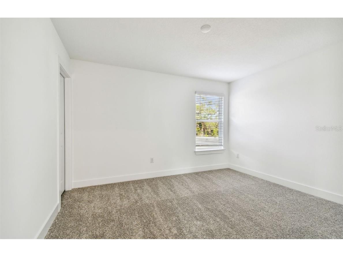 1662 Shields Point Zephyrhills FL 33541 TB8454191 image19