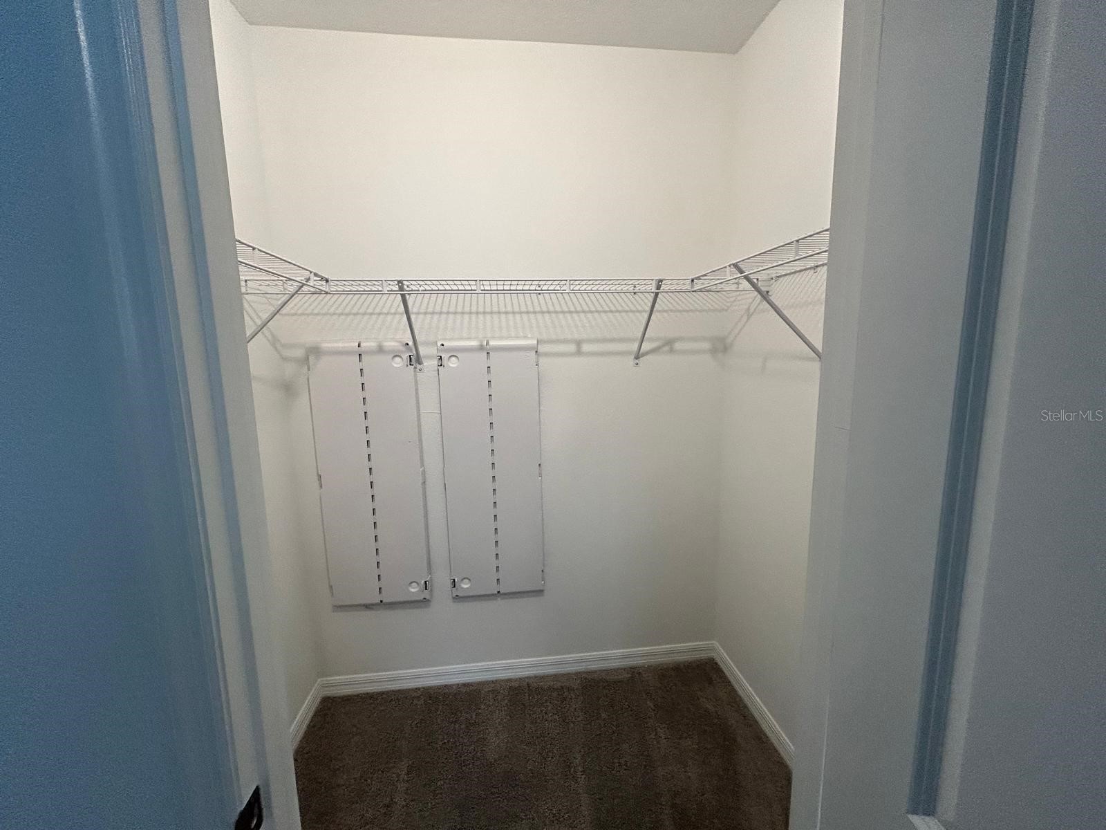 16620 Grotto Steam Place Wimauma FL 33598 W7884577 image10