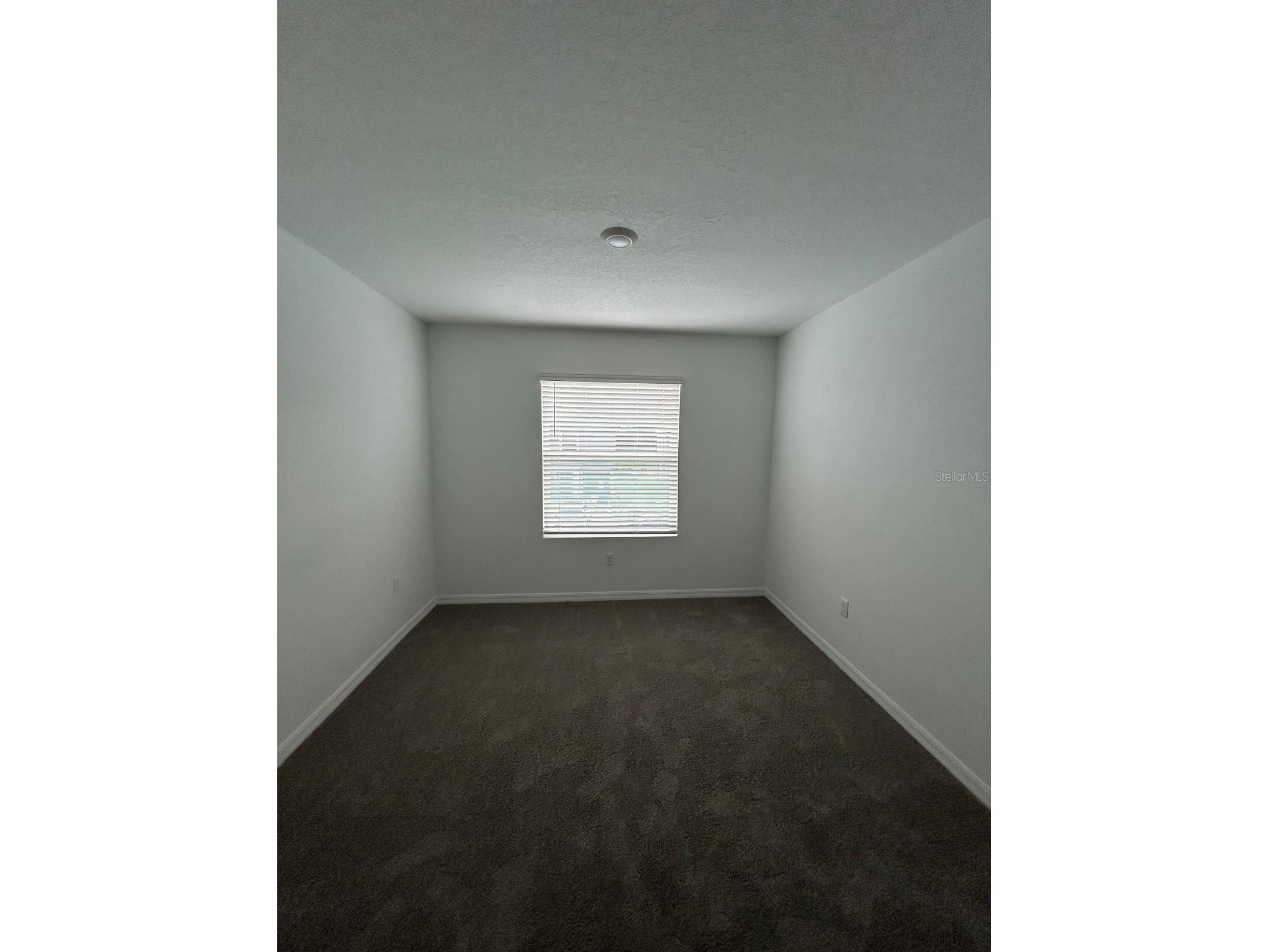 16620 Grotto Steam Place Wimauma FL 33598 W7884577 image17