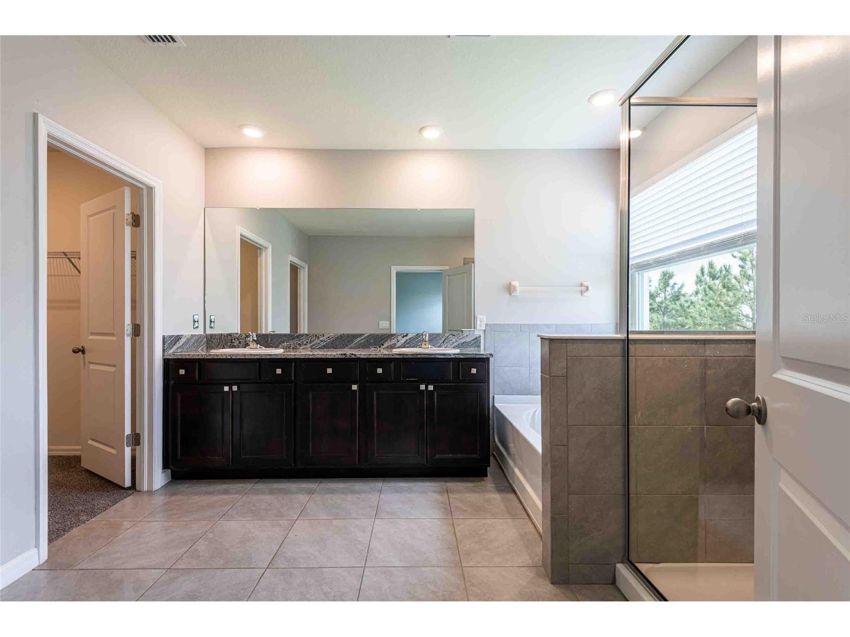 16620 Mooner Plank Circle Wimauma FL 33598 TB8485011 image32