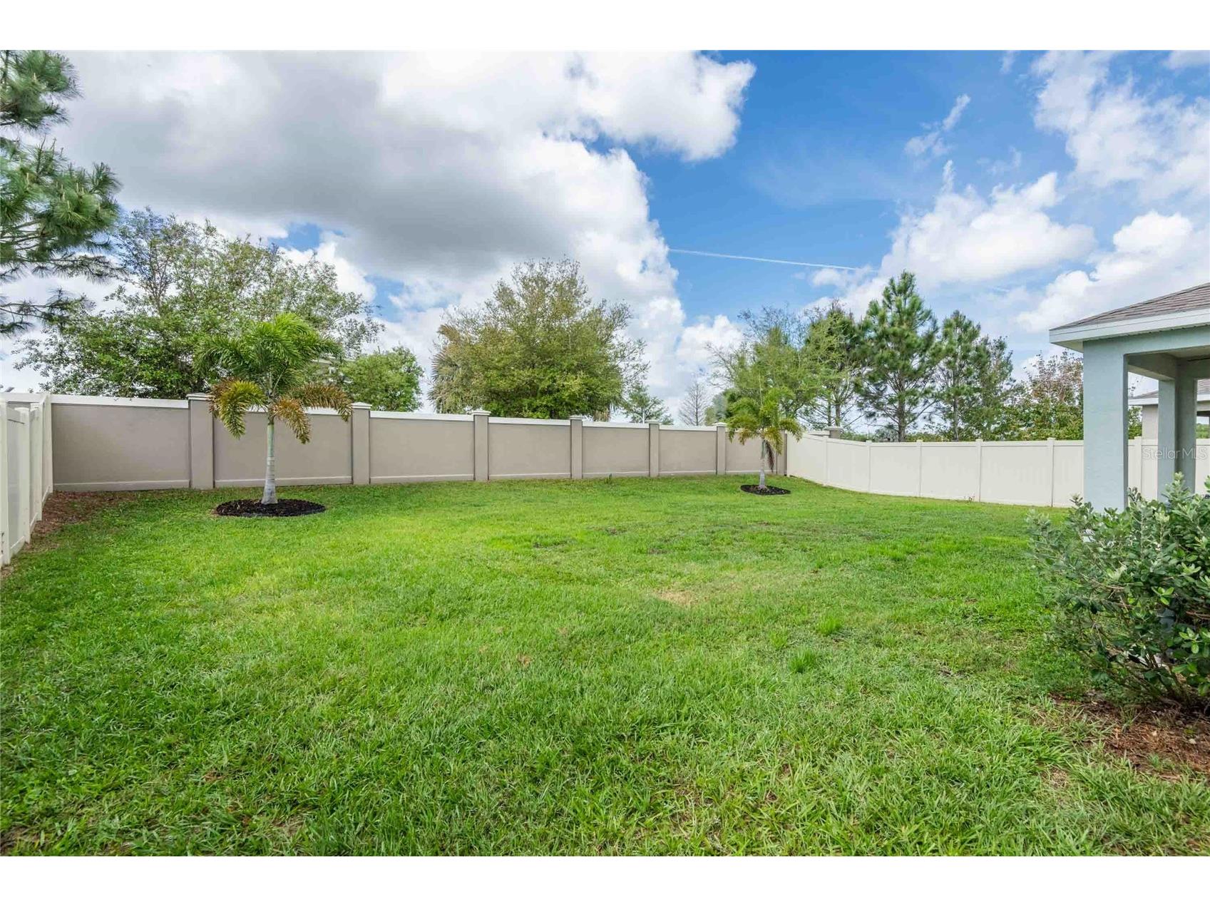 16620 Mooner Plank Circle Wimauma FL 33598 TB8485011 image40