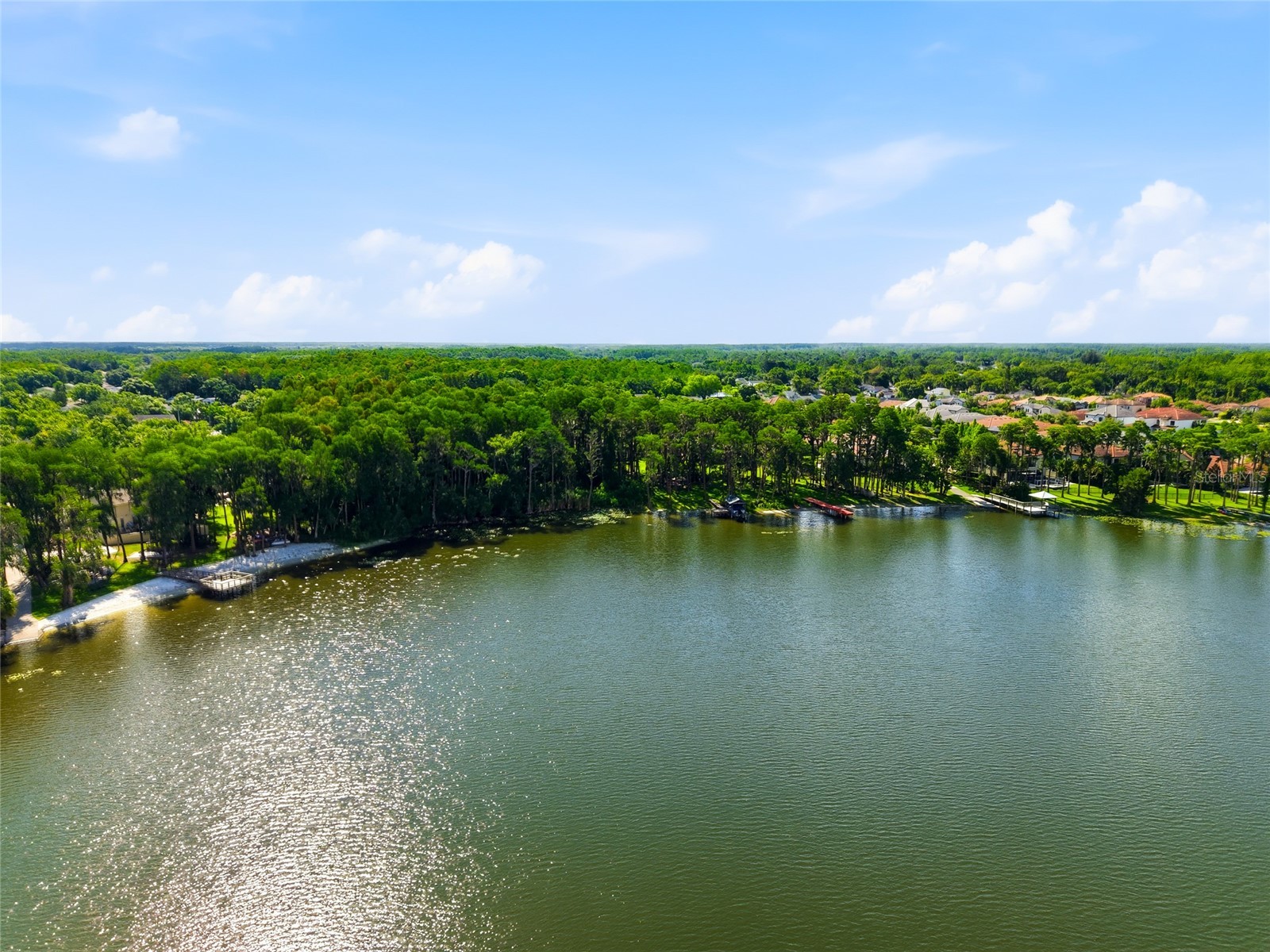 16622 Lakeshore Road Tampa FL 33624 - LAKE LECLARE TB8520081 image60