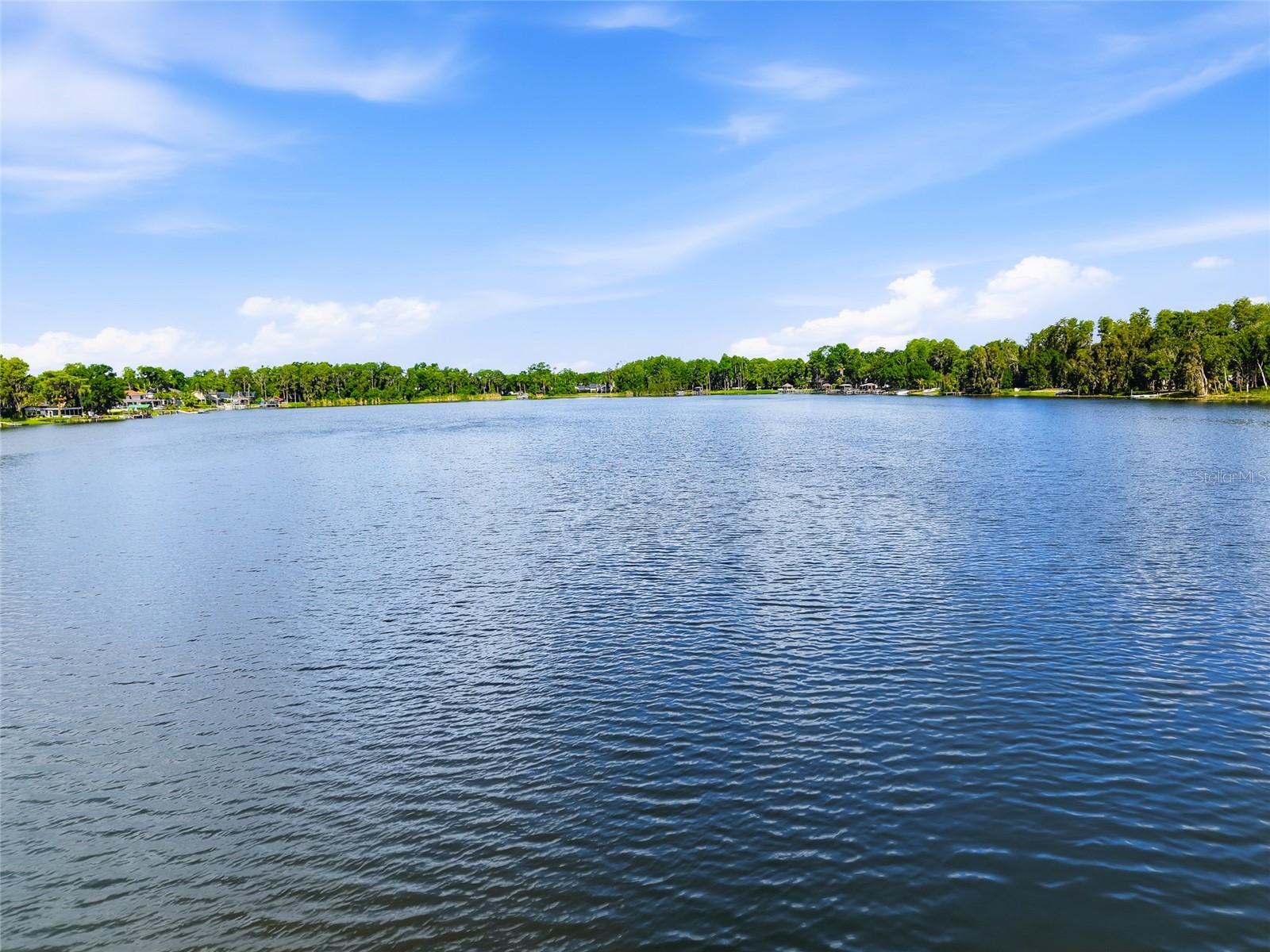 16622 Lakeshore Road Tampa FL 33624 - LAKE LECLARE TB8520081 image62