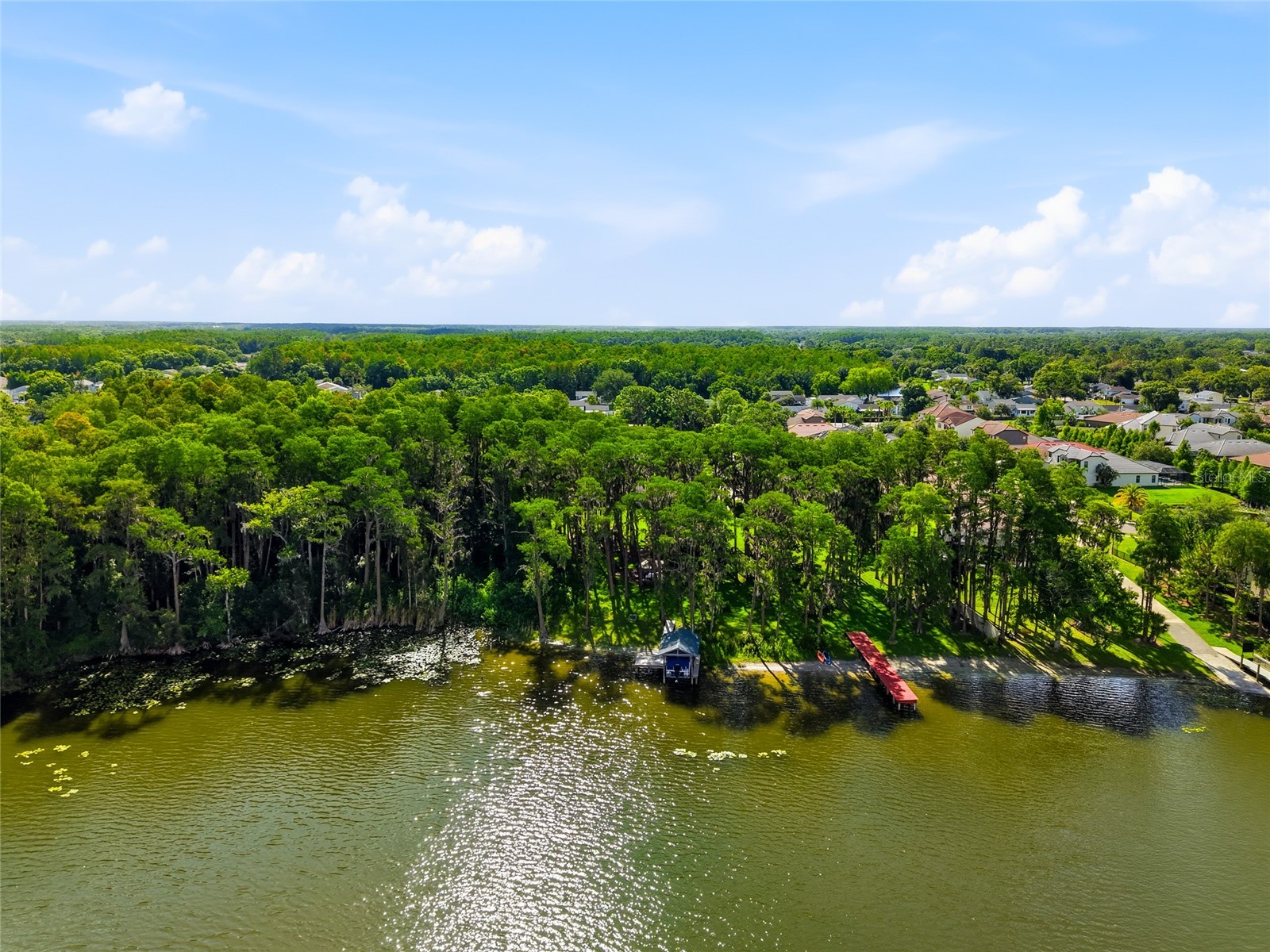 16622 Lakeshore Road Tampa FL 33624 - LAKE LECLARE TB8520081 image67