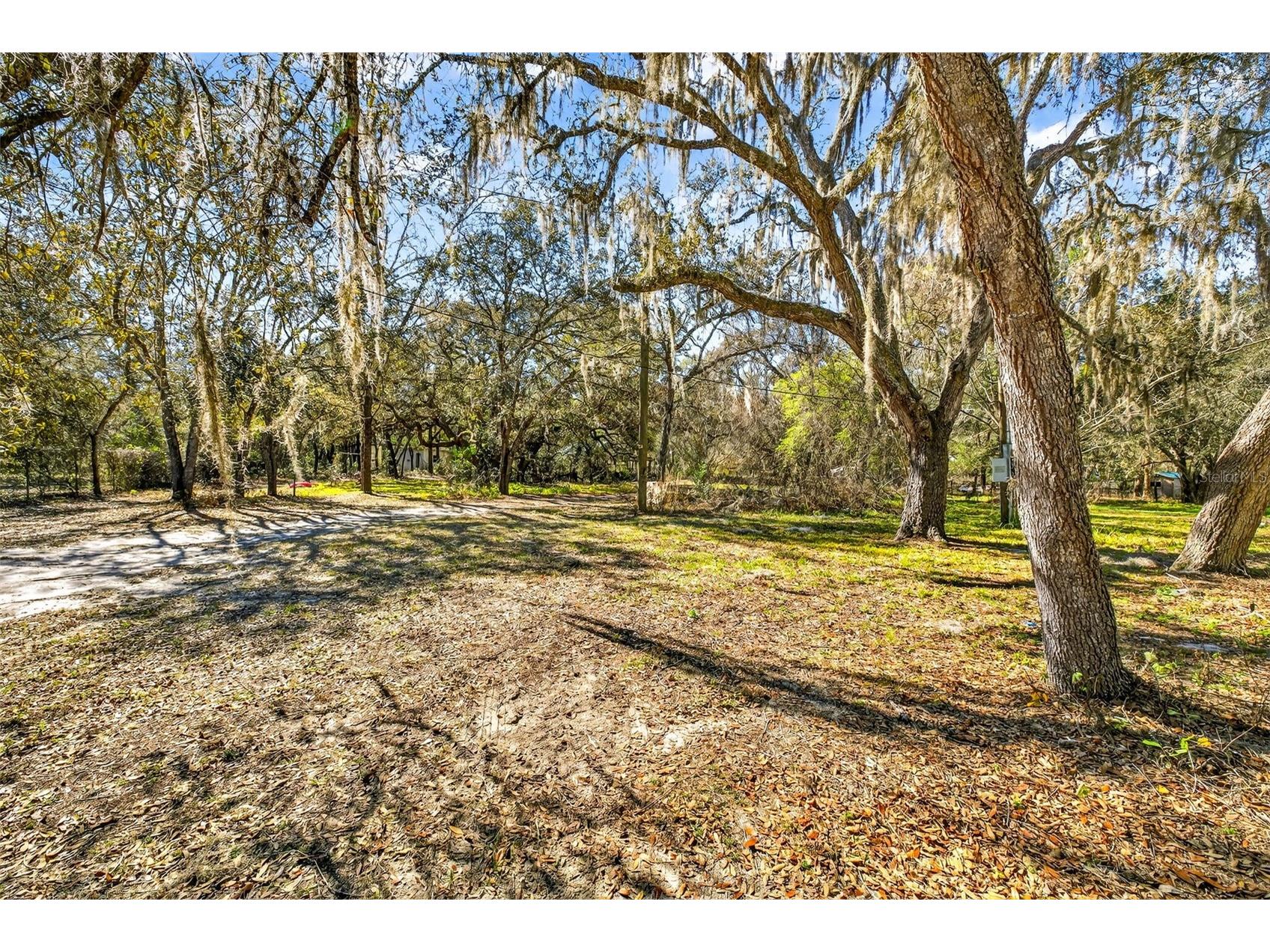 16624 Helen K Drive Spring Hill FL 34610 W7882365 image12