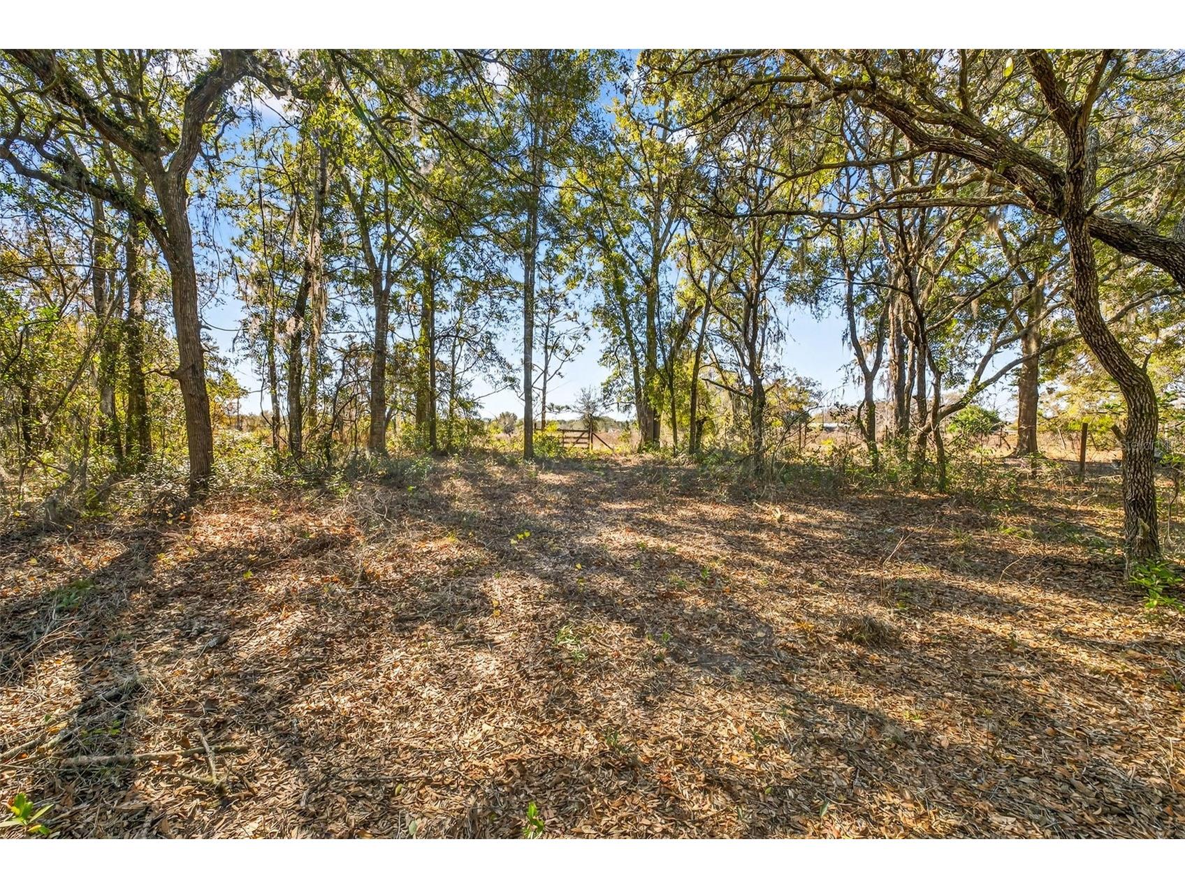 16624 Helen K Drive Spring Hill FL 34610 W7882365 image13