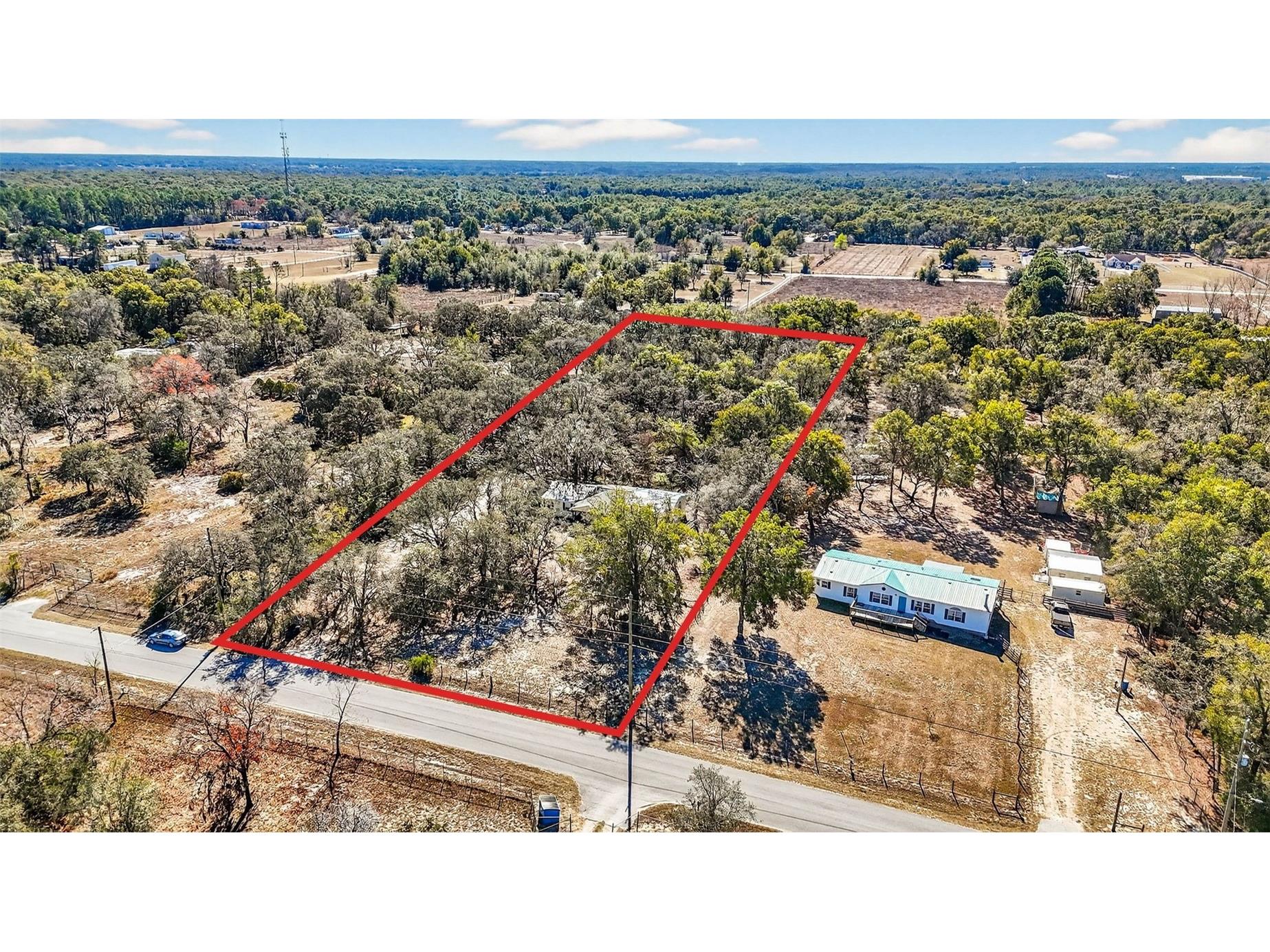 16624 Helen K Drive Spring Hill FL 34610 W7882365 image4