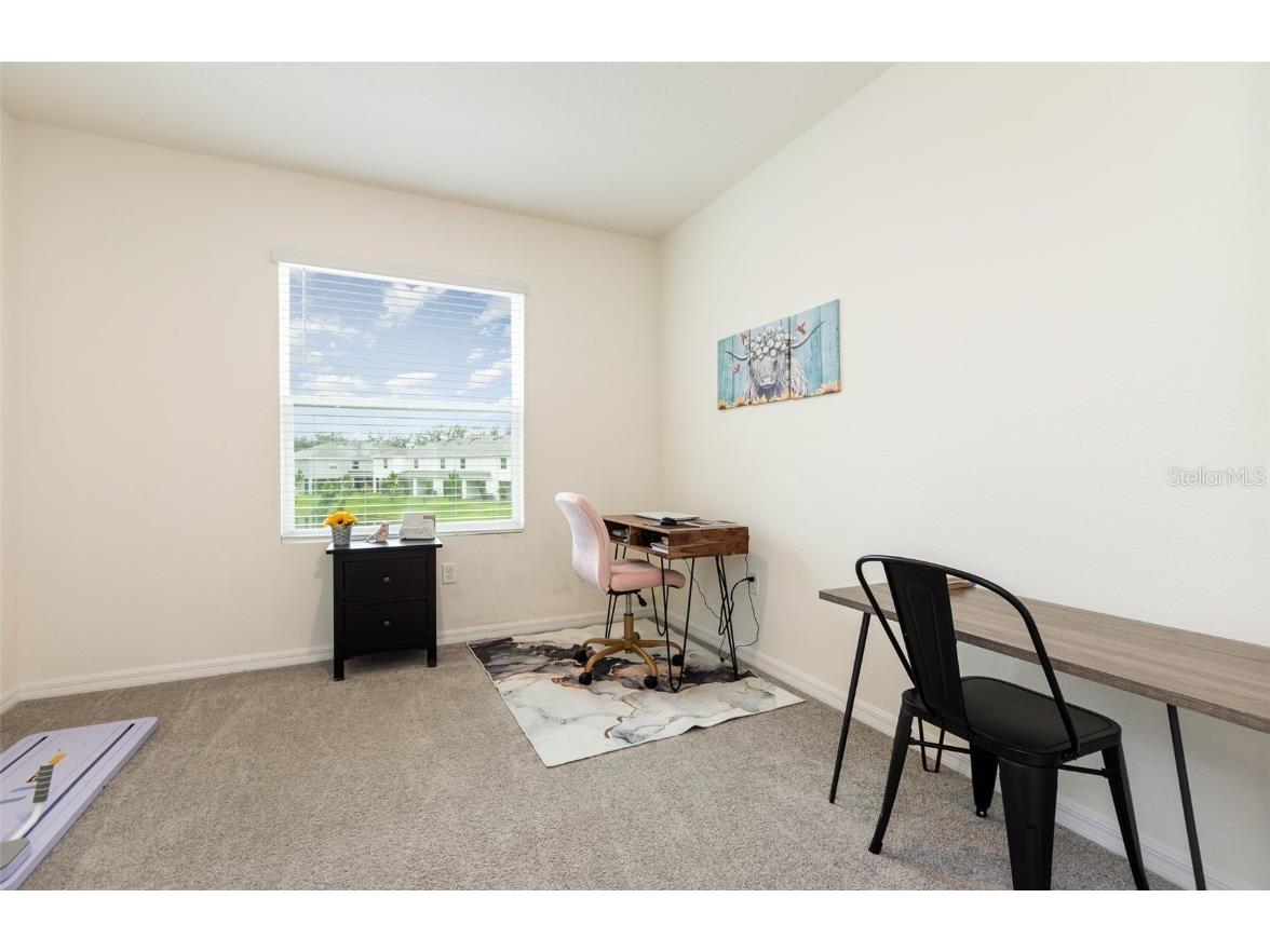 16624 Maude Drive Wimauma FL 33598 TB8392781 image19