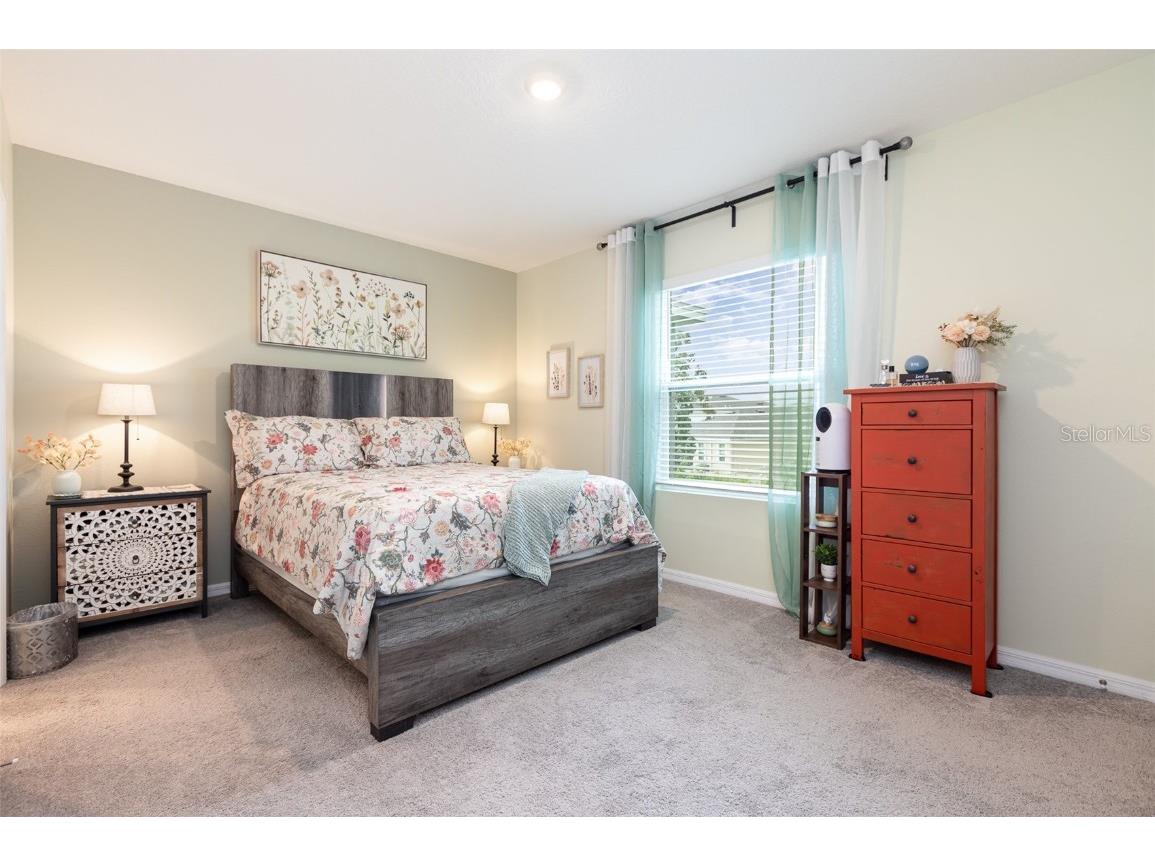 16624 Maude Drive Wimauma FL 33598 TB8392781 image20