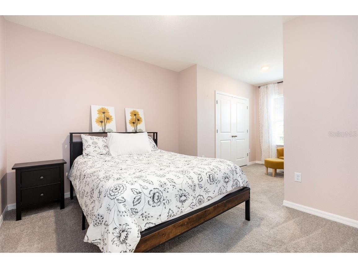 16624 Maude Drive Wimauma FL 33598 TB8392781 image26