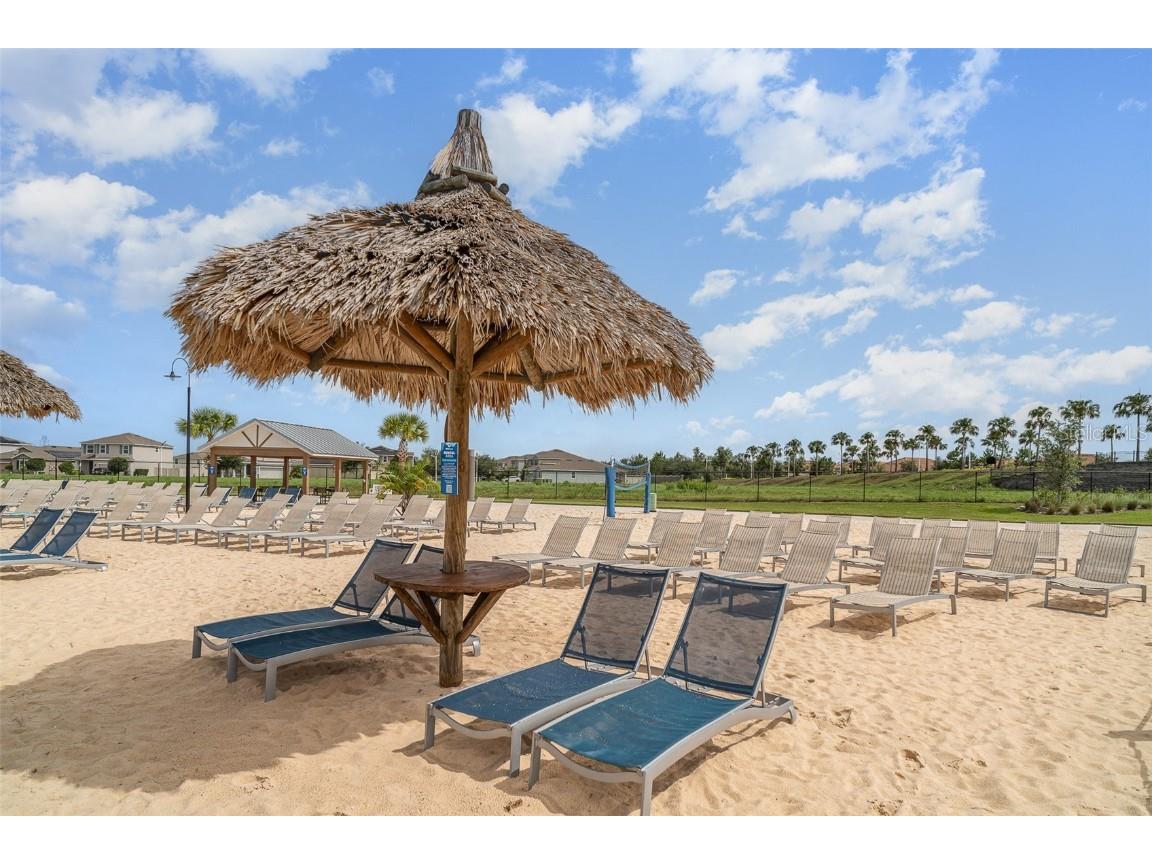 16624 Maude Drive Wimauma FL 33598 TB8392781 image38