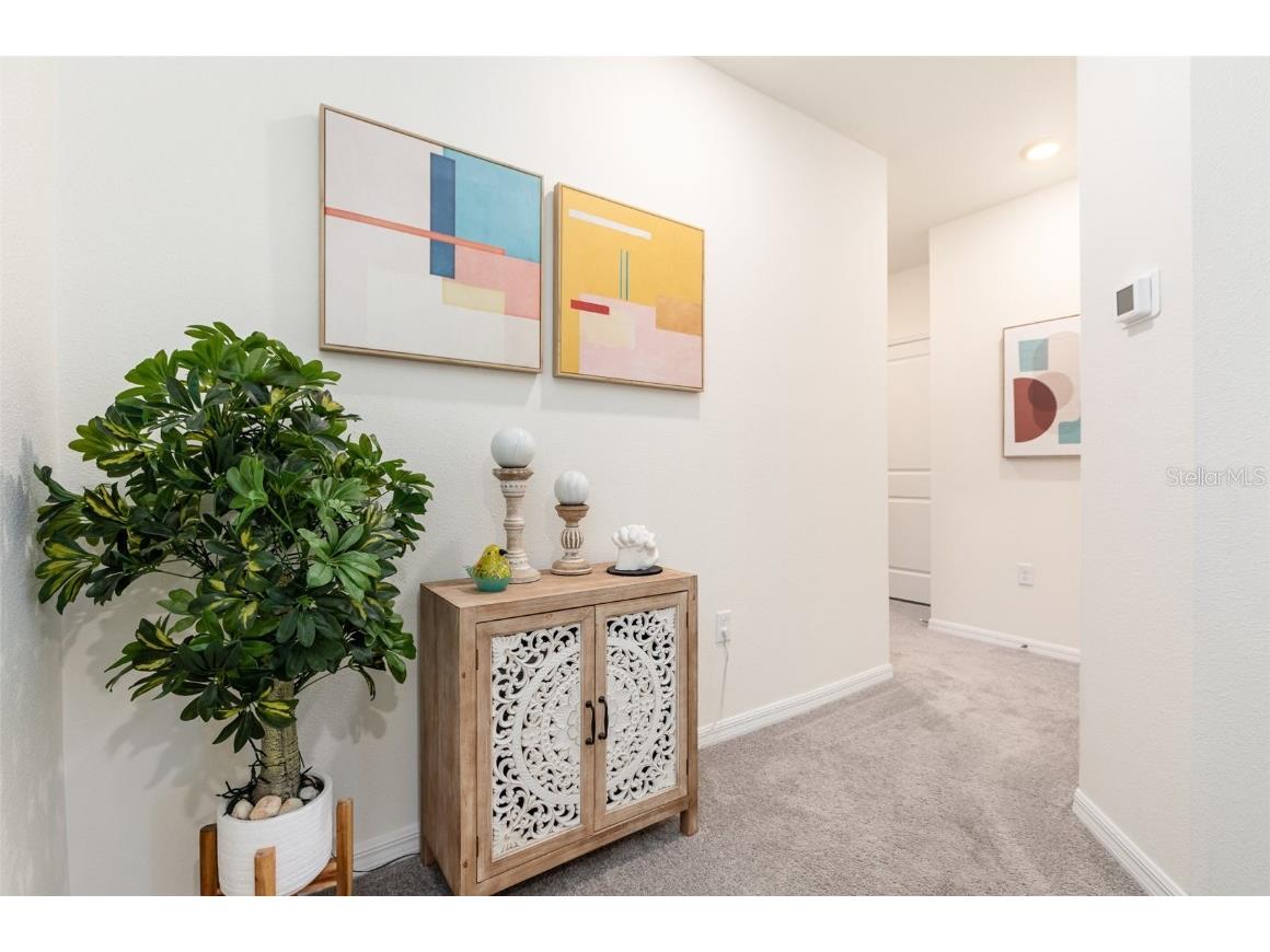 16624 Maude Drive Wimauma FL 33598 TB8392781 image6