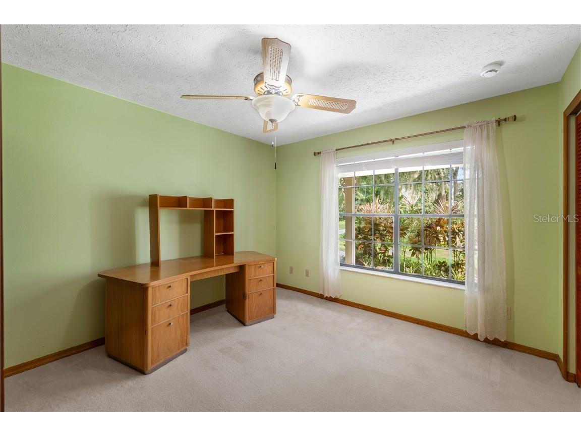 16625 Indian Mound Road Tampa FL 33618 TB8425604 image23