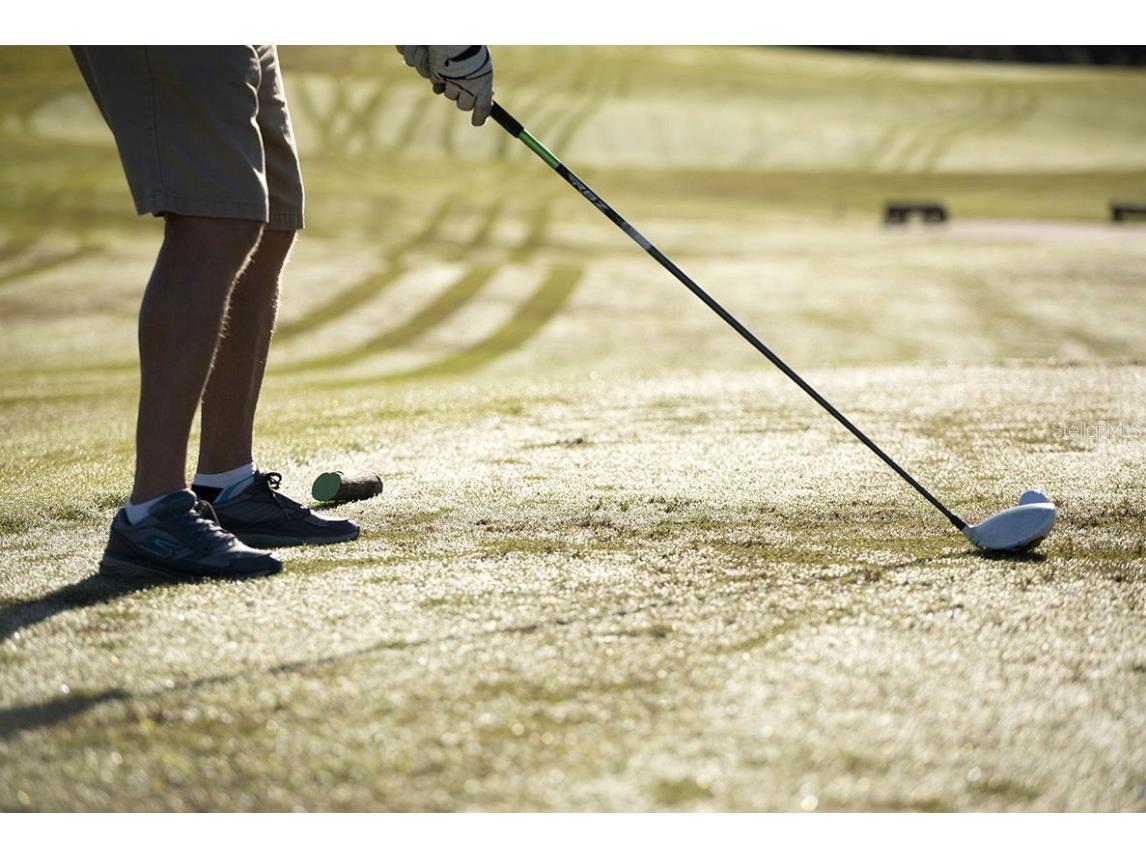 16626 Bolsena Drive Montverde FL 34756 - LAKE SIENA O6279501 image13