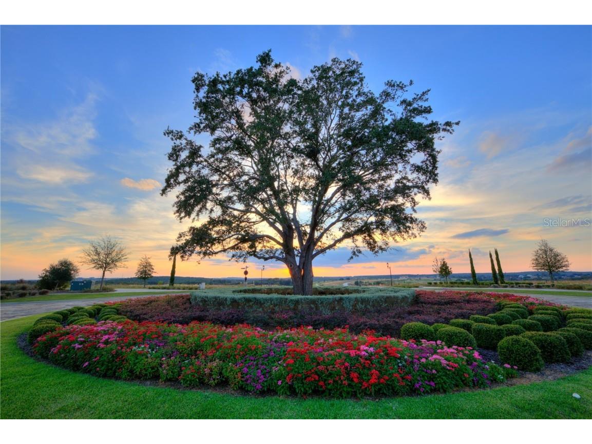 16626 Bolsena Drive Montverde FL 34756 - LAKE SIENA O6279501 image18