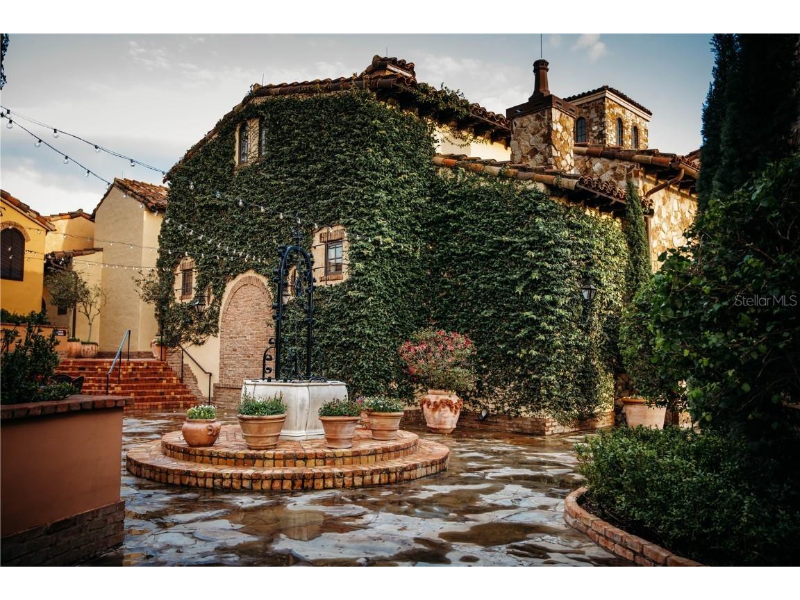 16626 Bolsena Drive Montverde FL 34756 - LAKE SIENA O6279501 image45