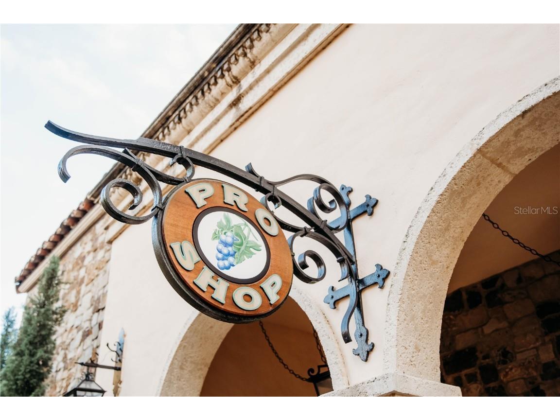 16626 Bolsena Drive Montverde FL 34756 - LAKE SIENA O6279501 image46