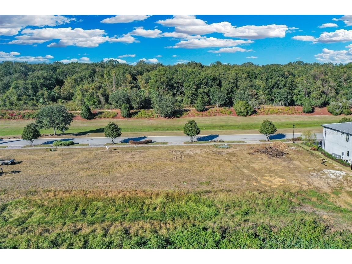 16626 Bolsena Drive Montverde FL 34756 - LAKE SIENA O6279501 image6