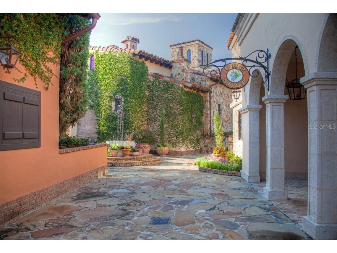 16626 Bolsena Drive Montverde FL 34756 - LAKE SIENA O6279501 image86