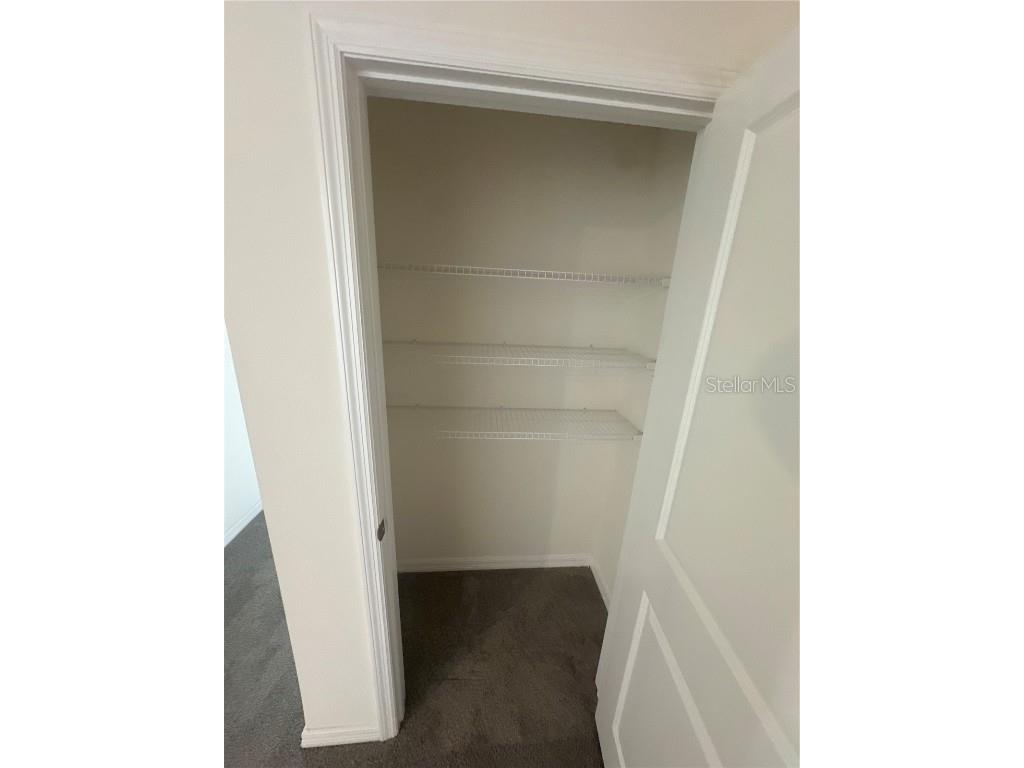 16626 Mosaic Oar Drive Wimauma FL 33598 S5131589 image41