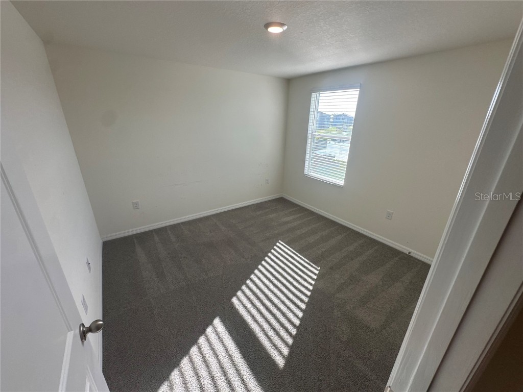 16626 Mosaic Oar Drive Wimauma FL 33598 S5131589 image47