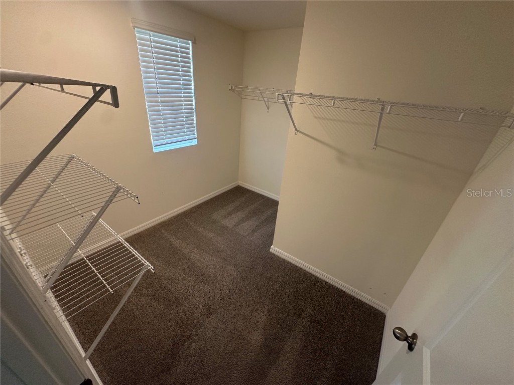 16626 Mosaic Oar Drive Wimauma FL 33598 S5140325 image11